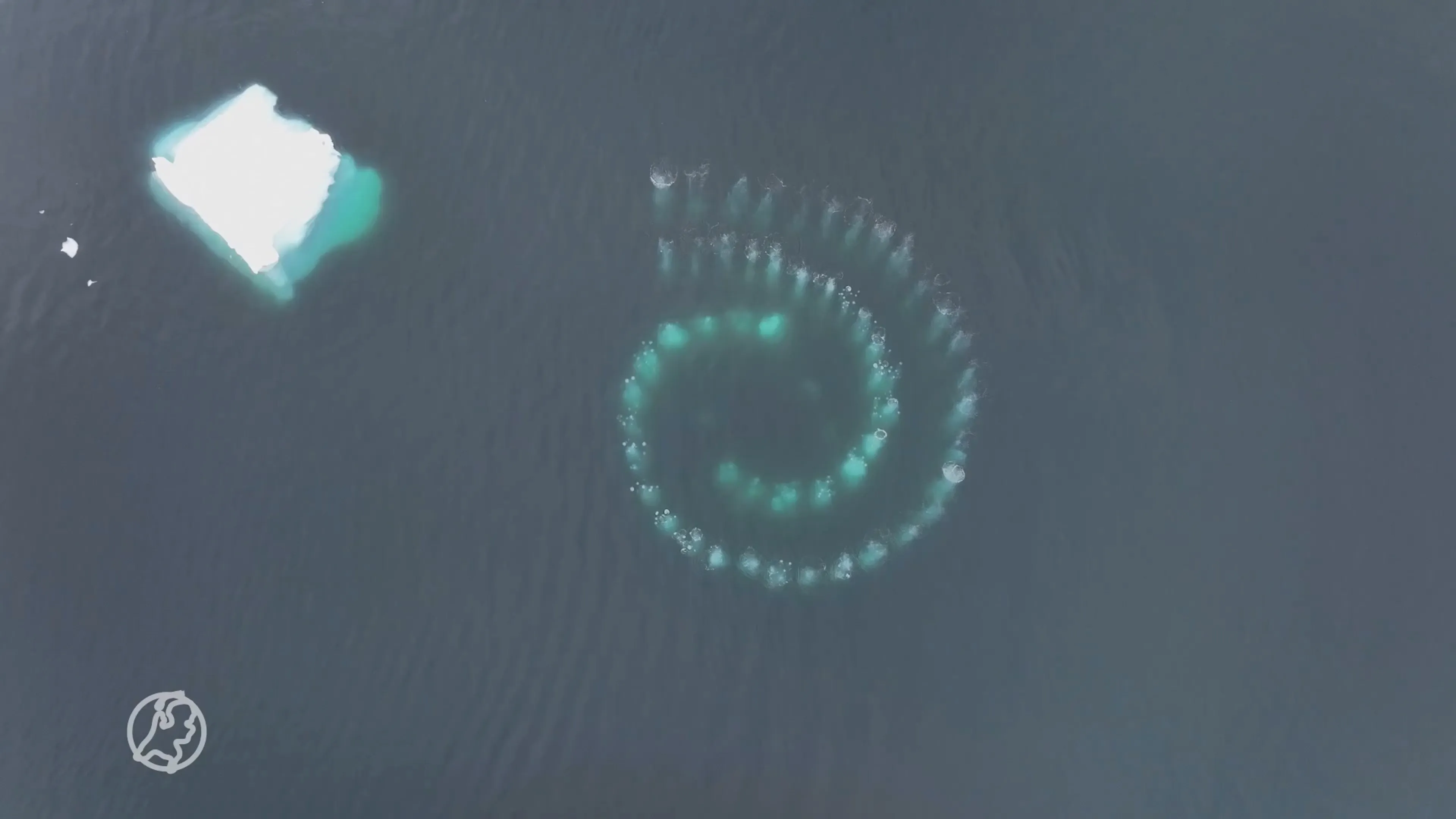 Nederlandse Piet legt bijzonder natuurfenomeen vast bij Antarctica