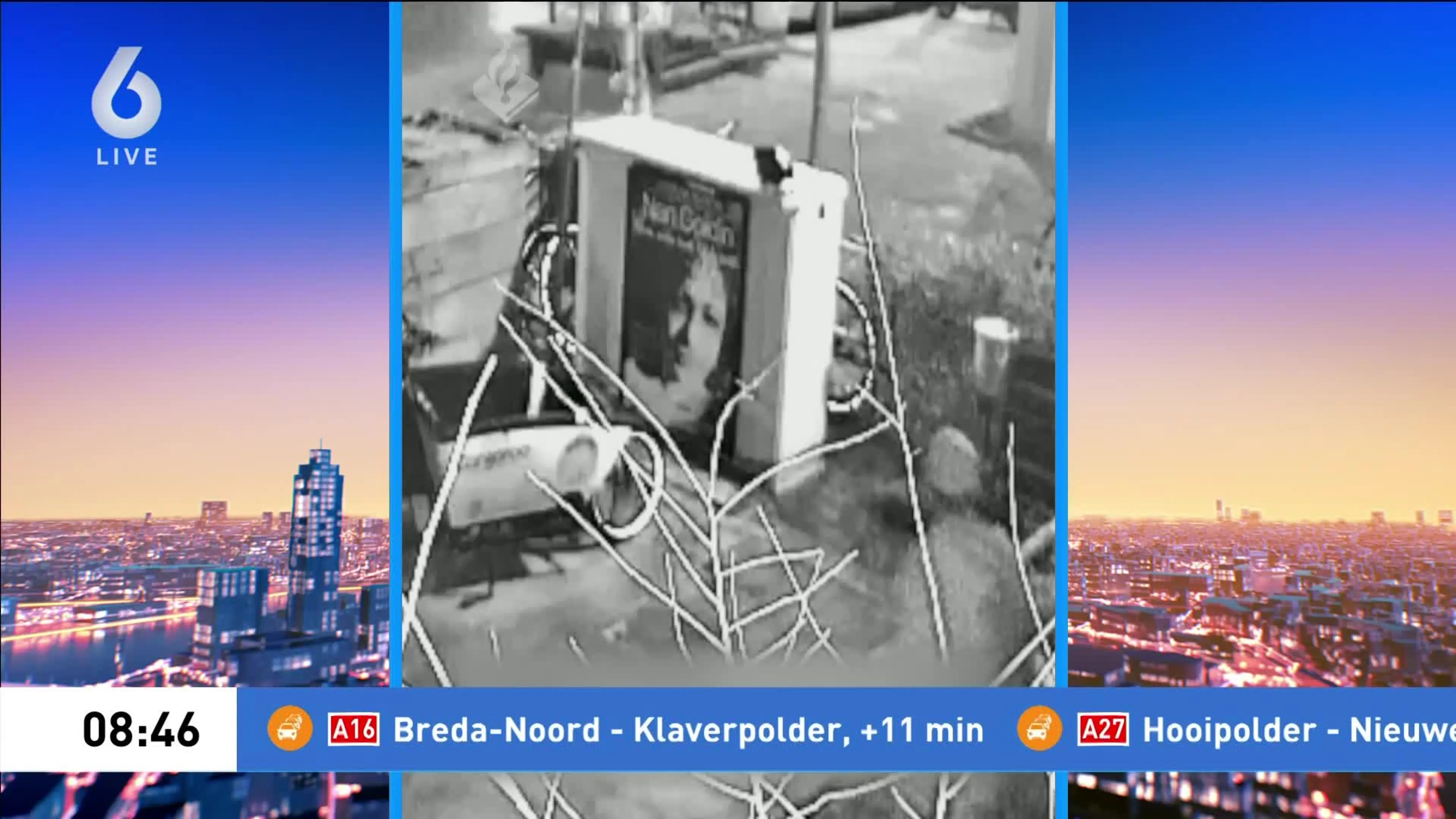 Man slaat kat Miesje dood in Amsterdam, politie toont beelden
