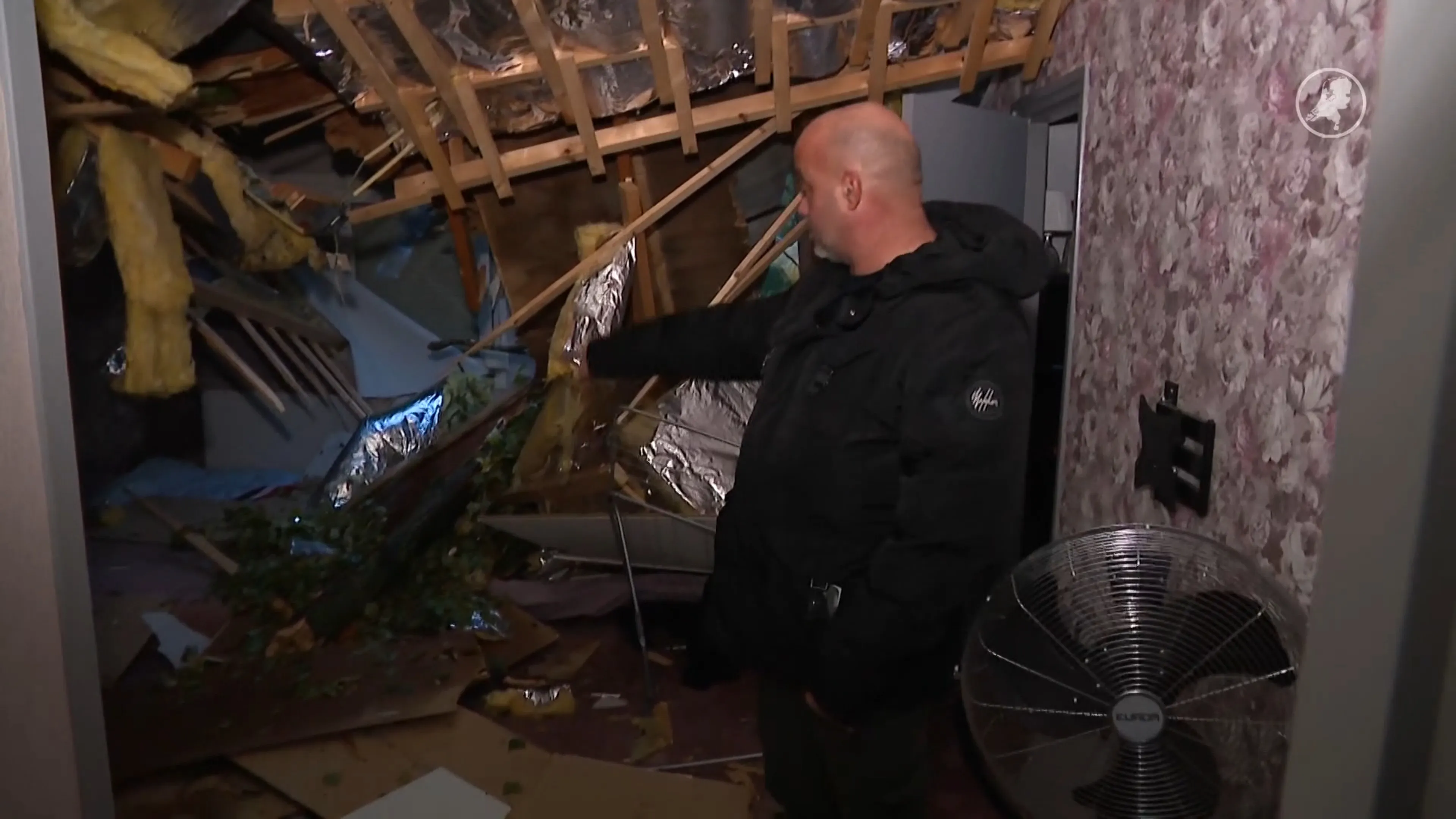 Grad zijn huis raakte beschadigd door vallende boom: 'Wachten tot het fout ging'
