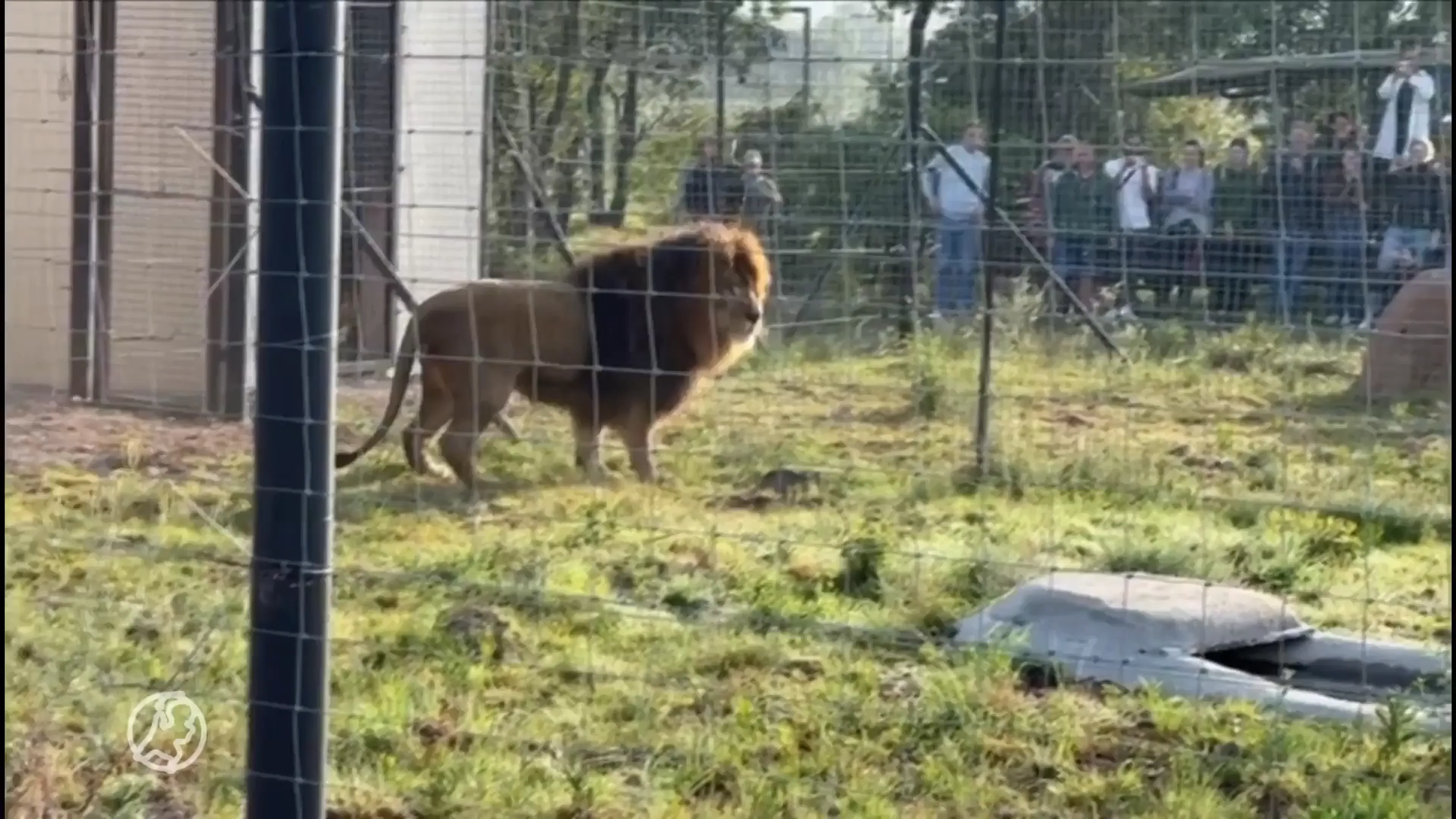 Remy en Luna zetten tanden in nieuw Zuid-Afrikaans avontuur