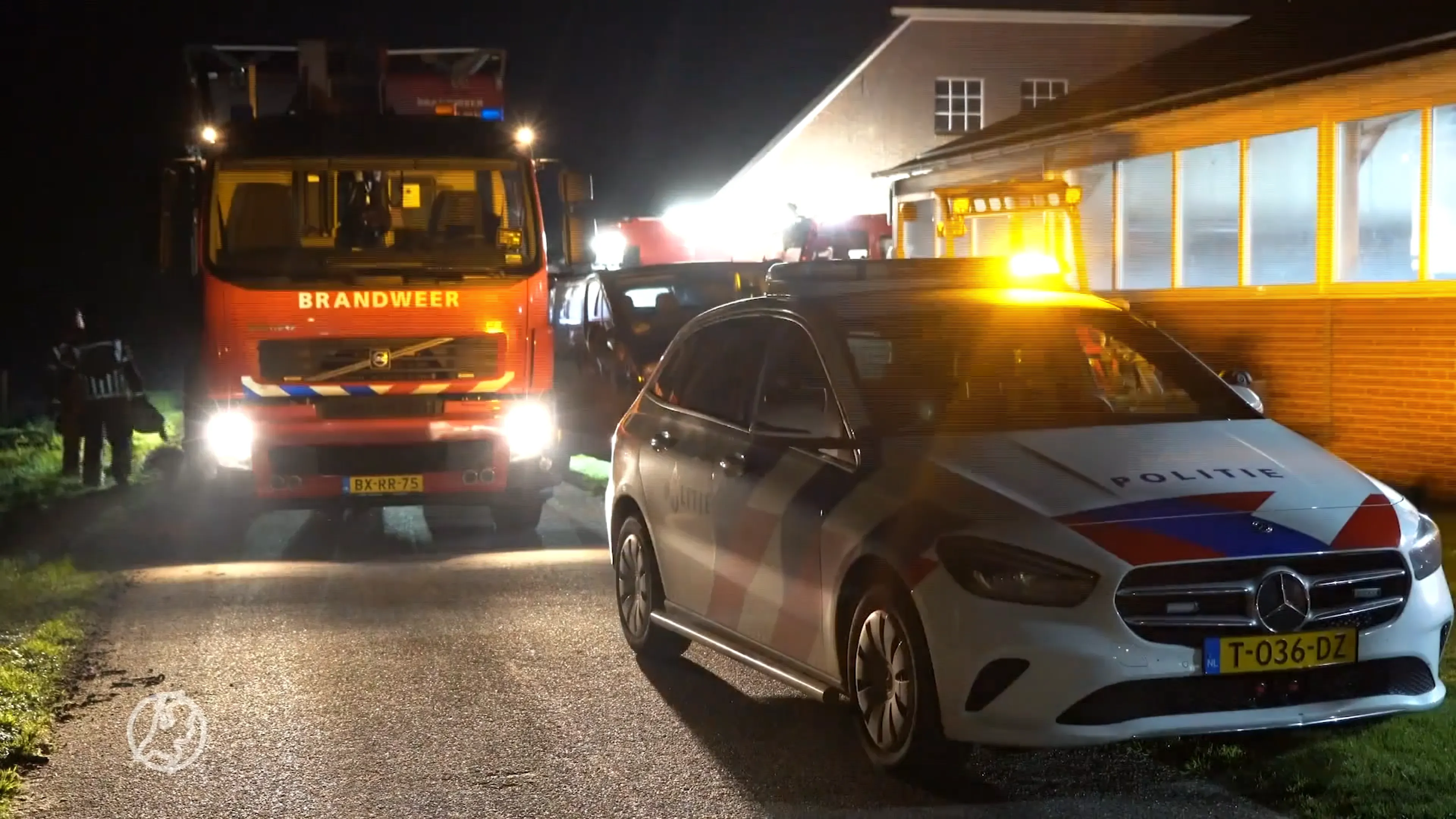 Meerdere dode kalfjes door stalbrand in het Overijsselse Holthone