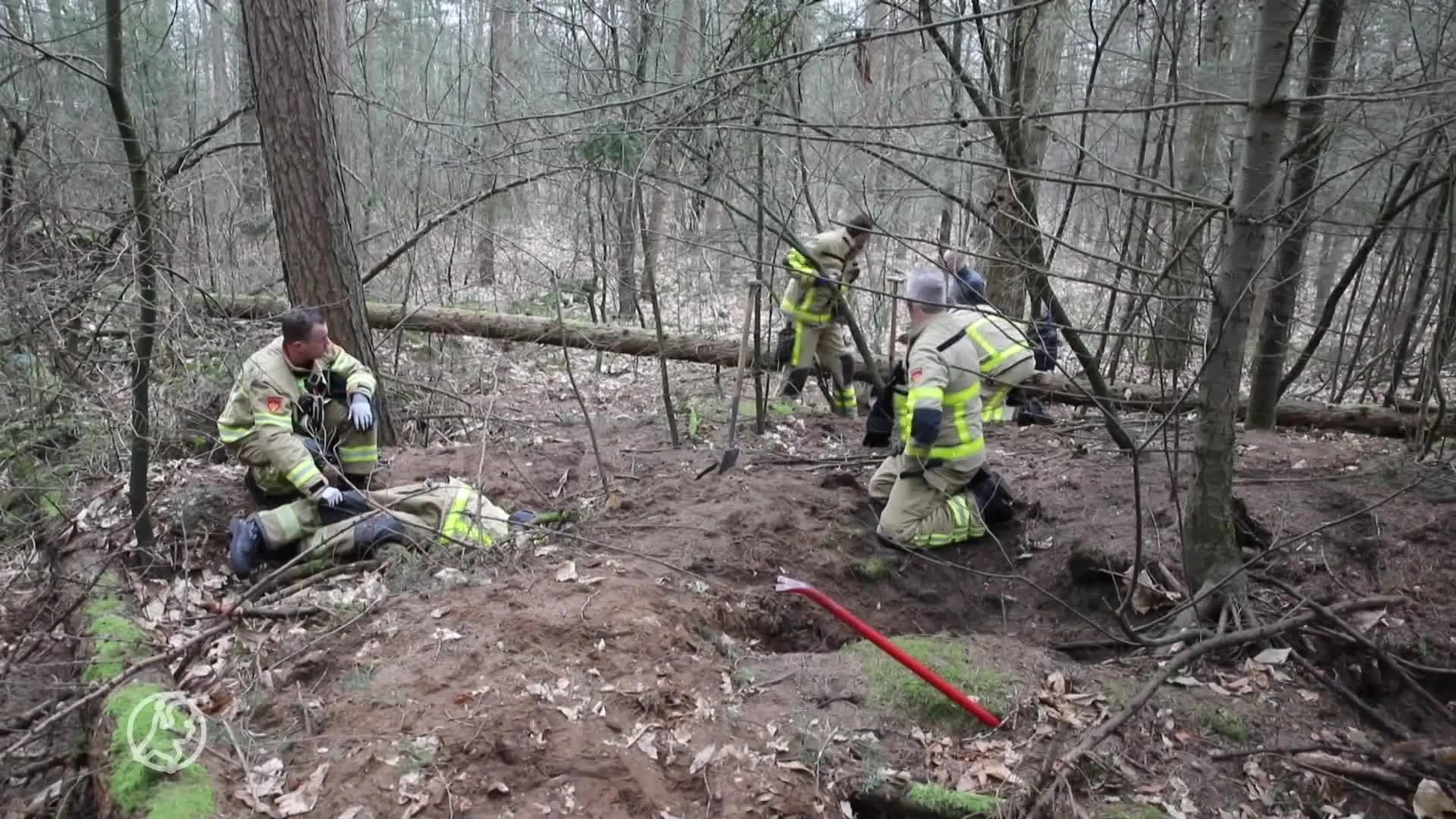 Hond vast in dassenburcht, brandweer schiet te hulp
