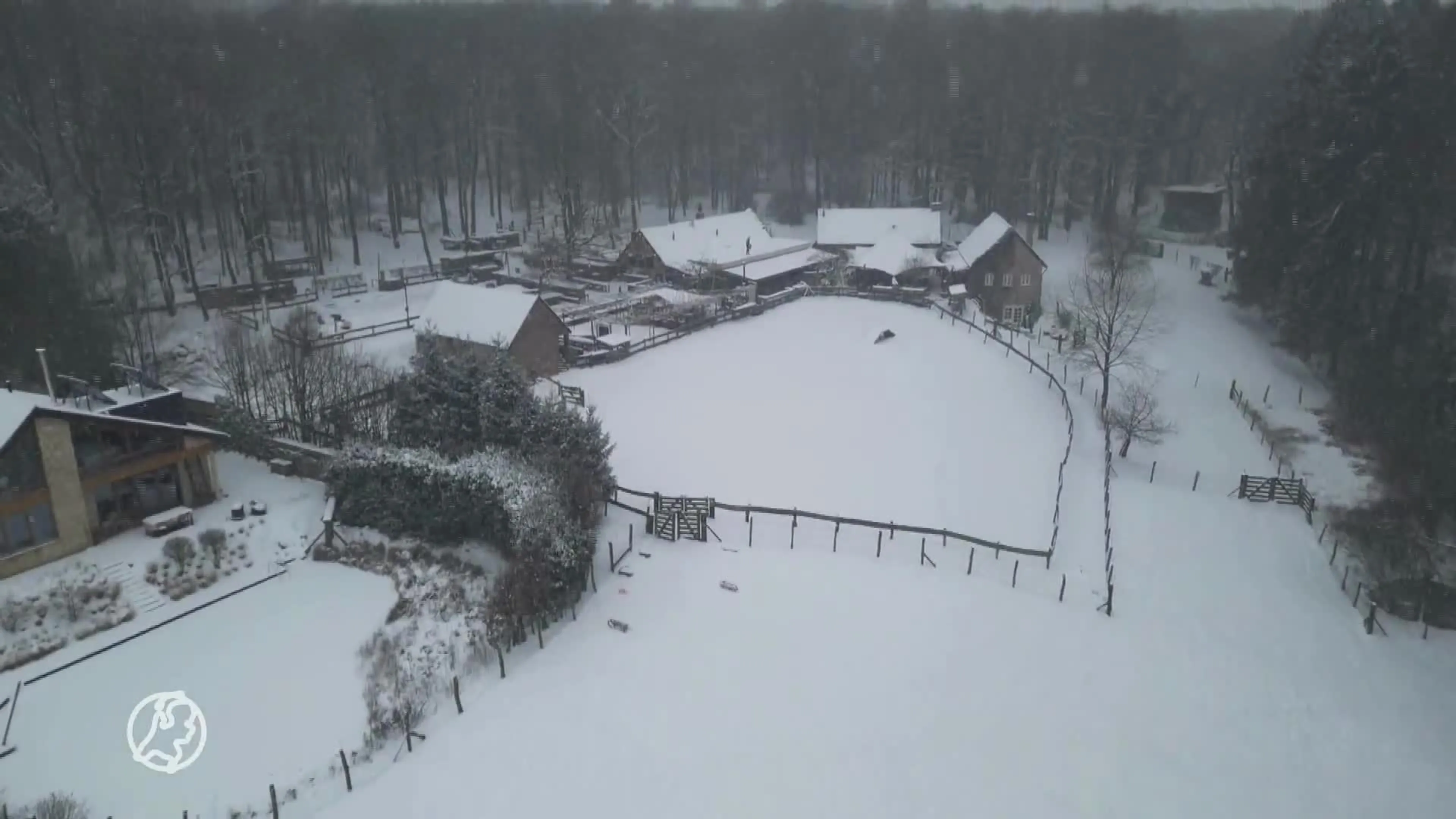Mooie sneeuwbeelden van Limburg: sneeuwpret!