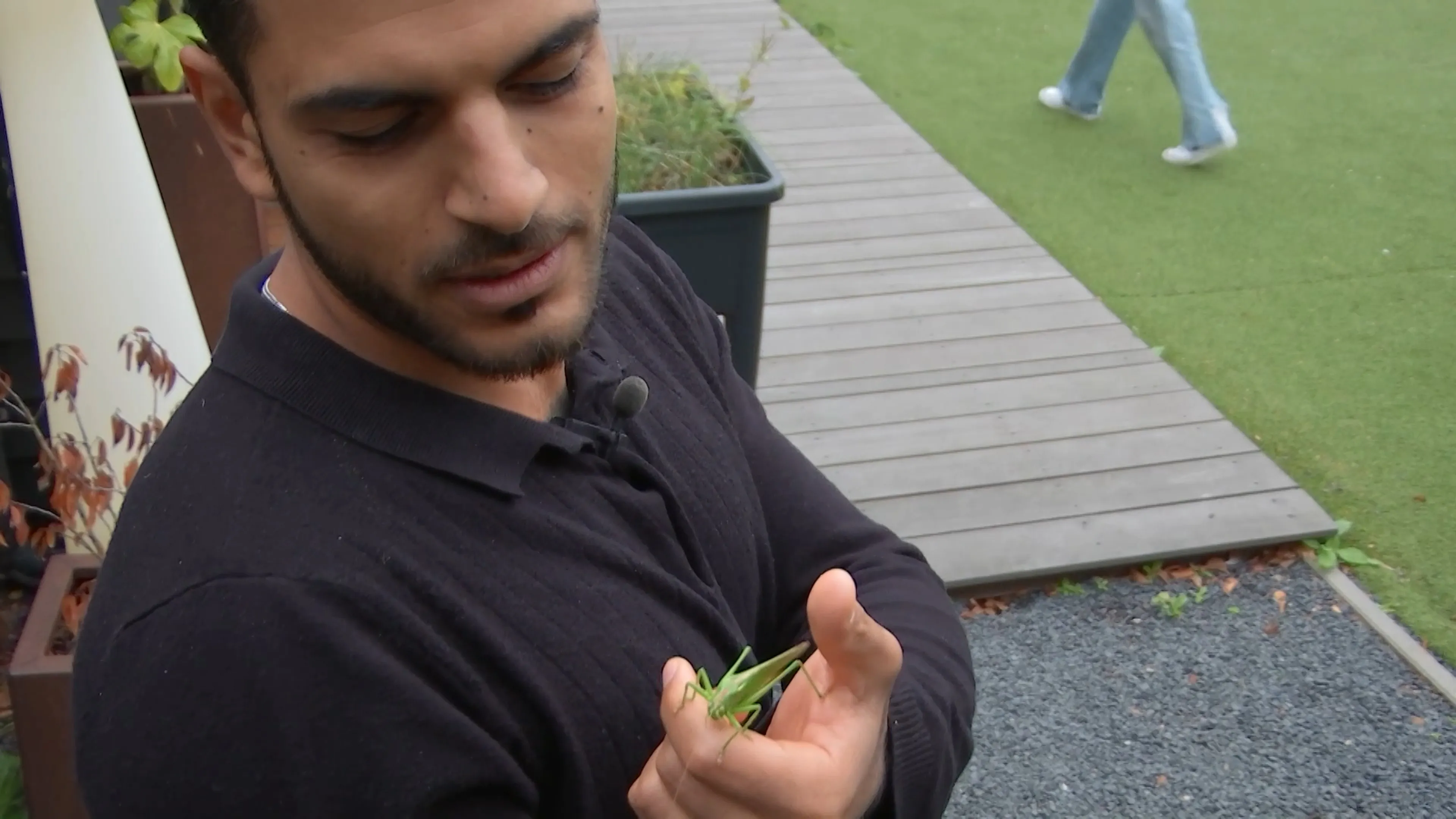 Sayf is in gesprek met een sprinkhaan