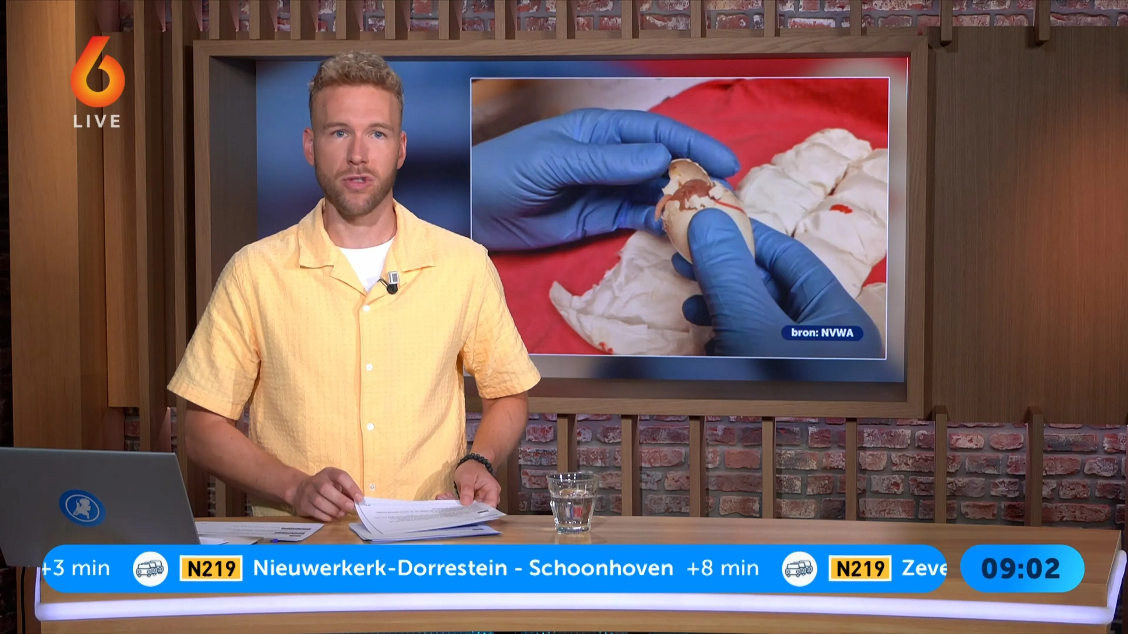 Man moet 100 dagen de cel in voor smokkelen papegaaieieren