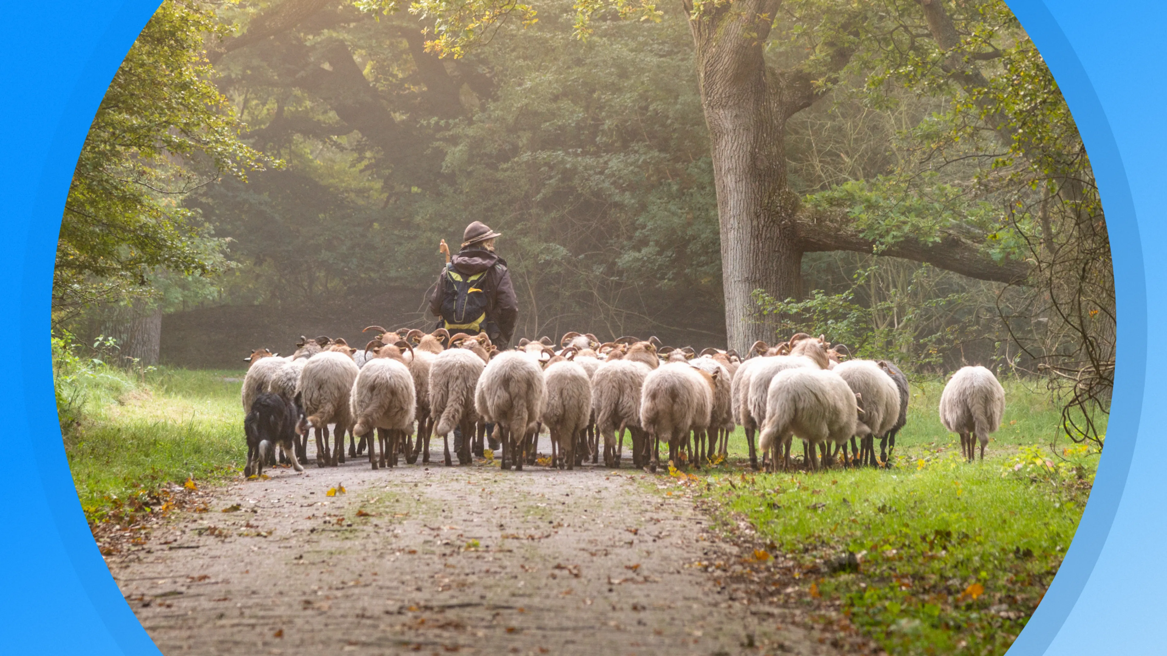 Seizoen 2026, aflevering 3553