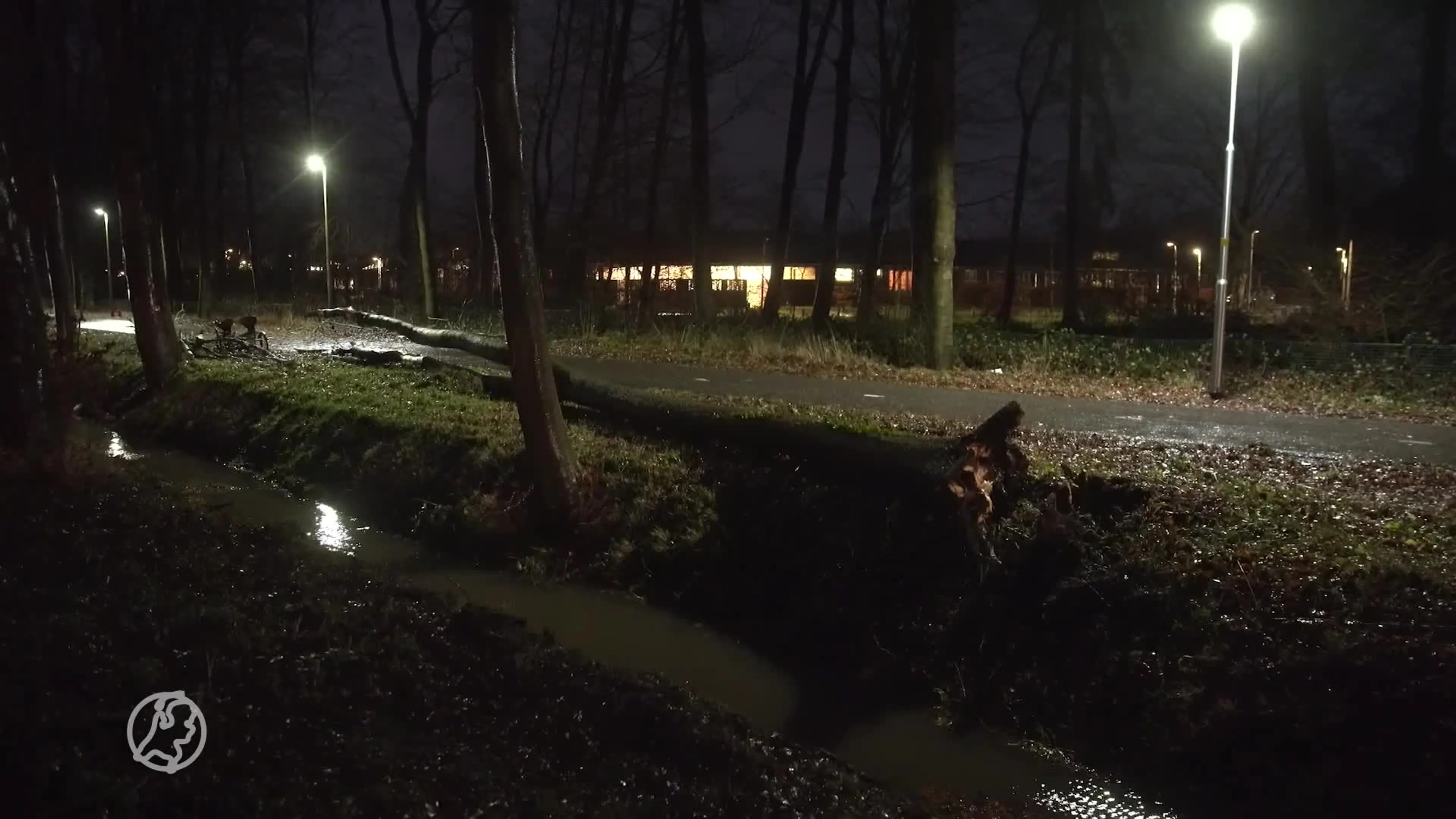 Vrouw (39) overleden nadat boom op duo-fiets valt in Wilp