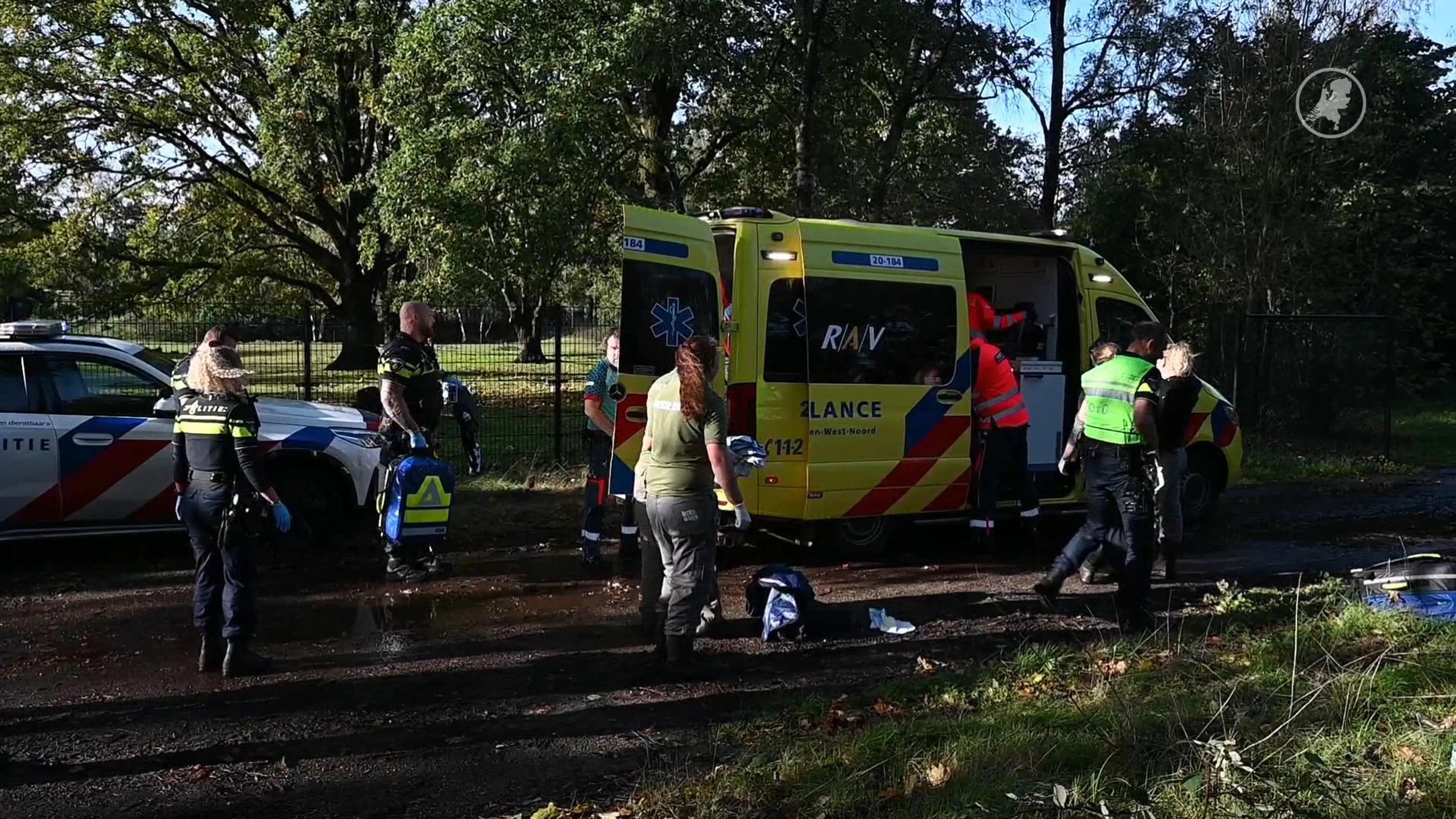 Verzorgster gewond in Beekse Bergen
