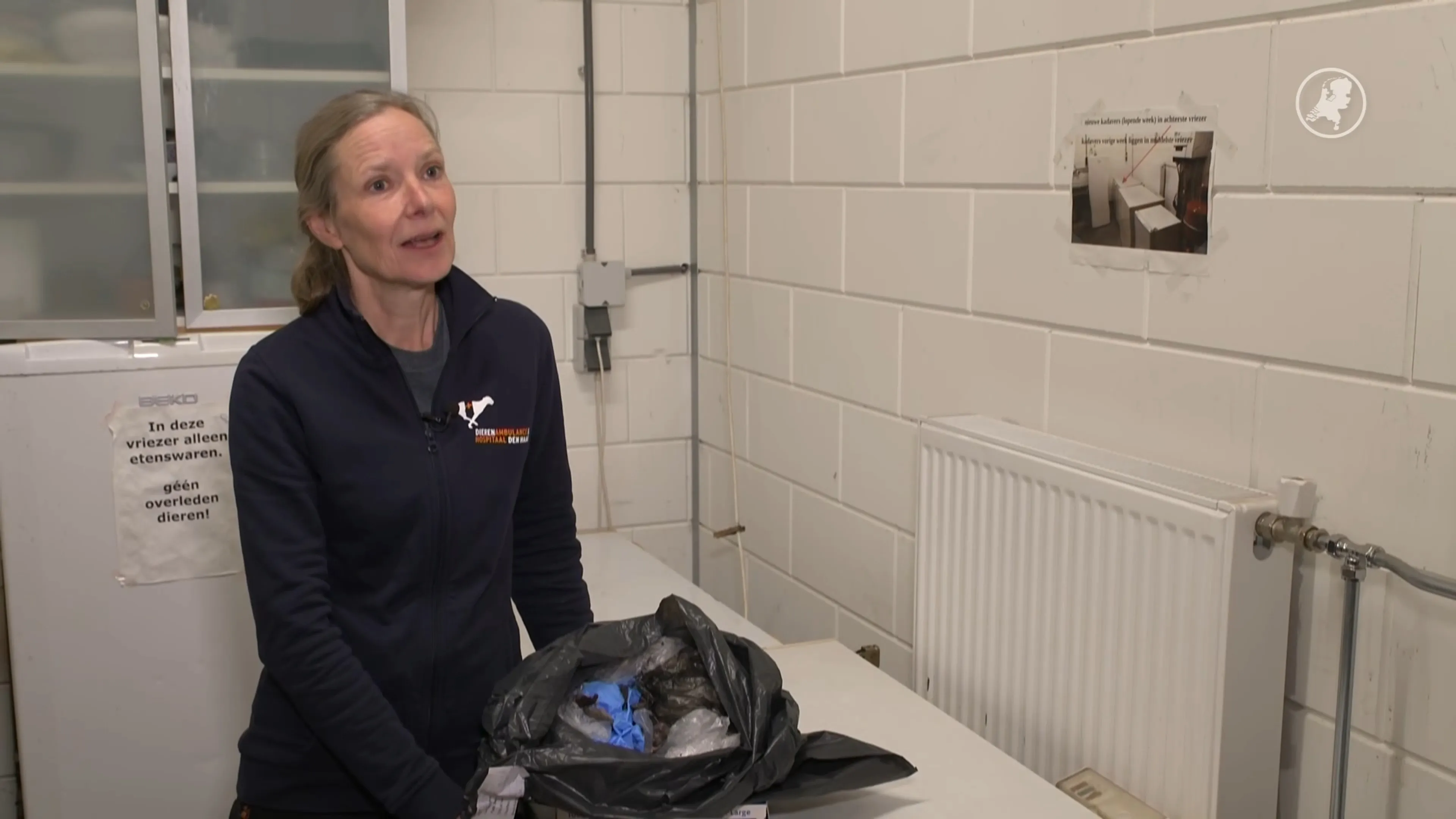 Dierenambulance over vastgeplakte muizen: 'Levenden worden opgeknapt'