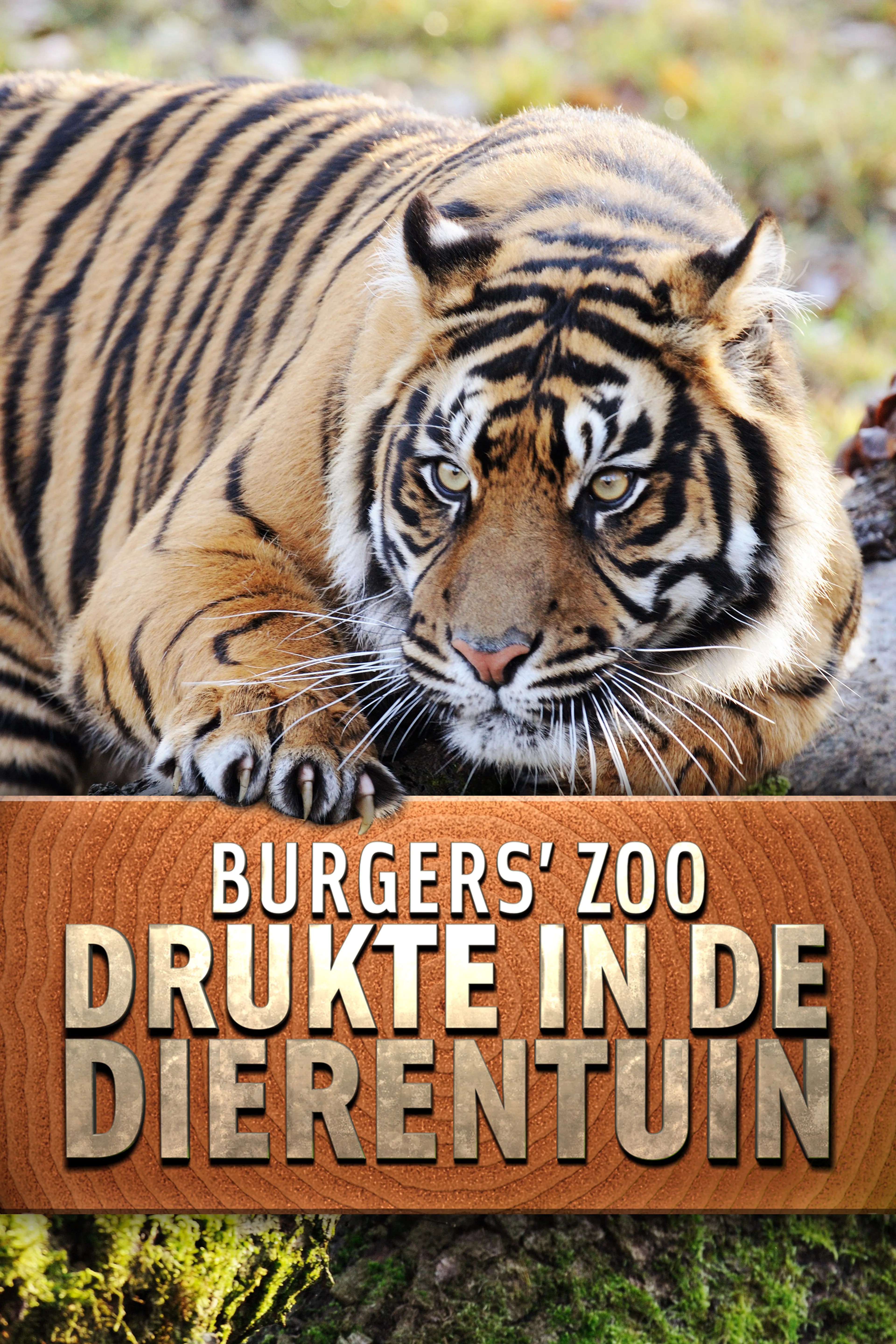 Burgers'sZoo: Drukte in de Dierentuin