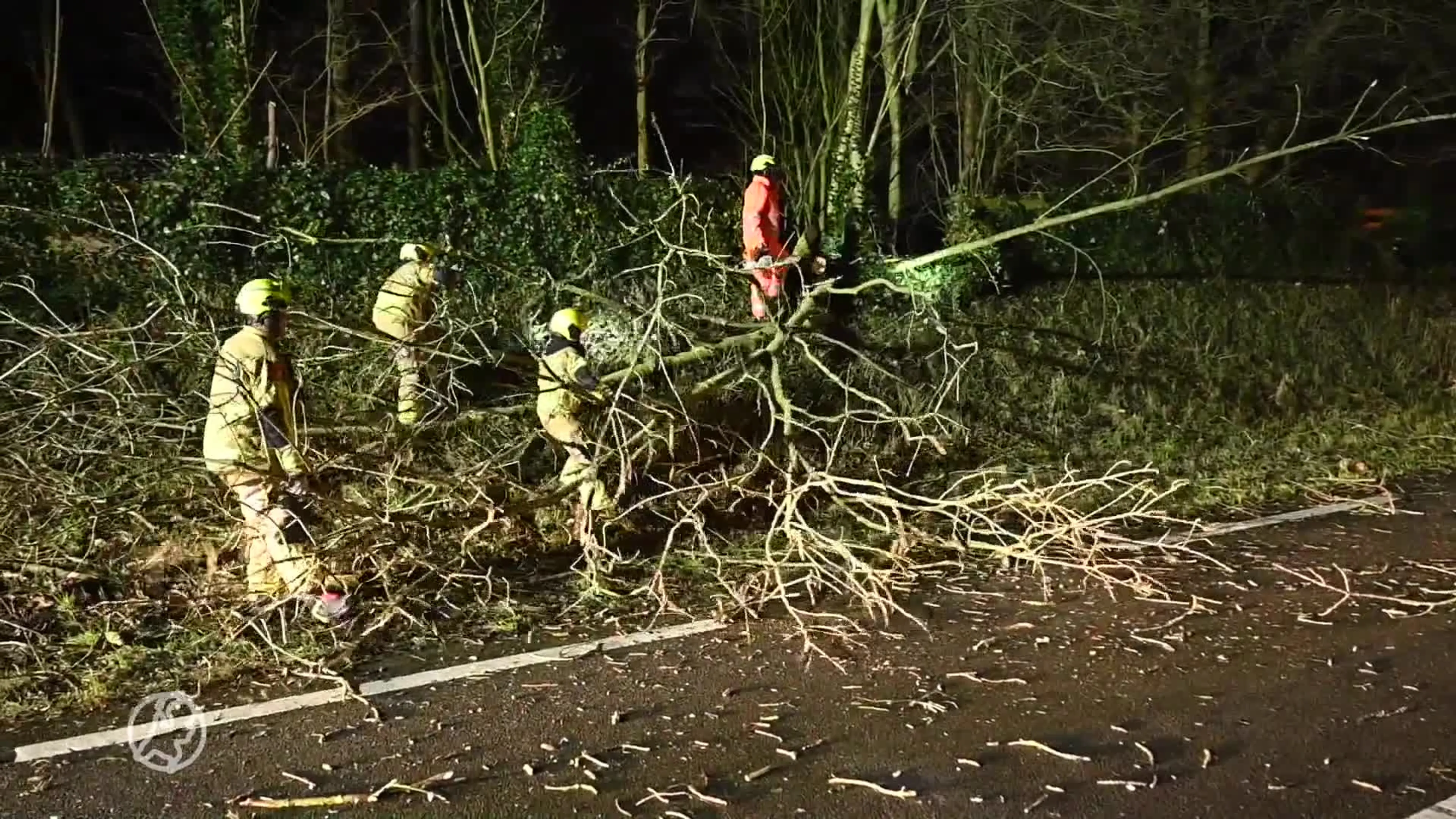 Brandweer rukt uit voor omgewaaide boom op N207 bij Alphen