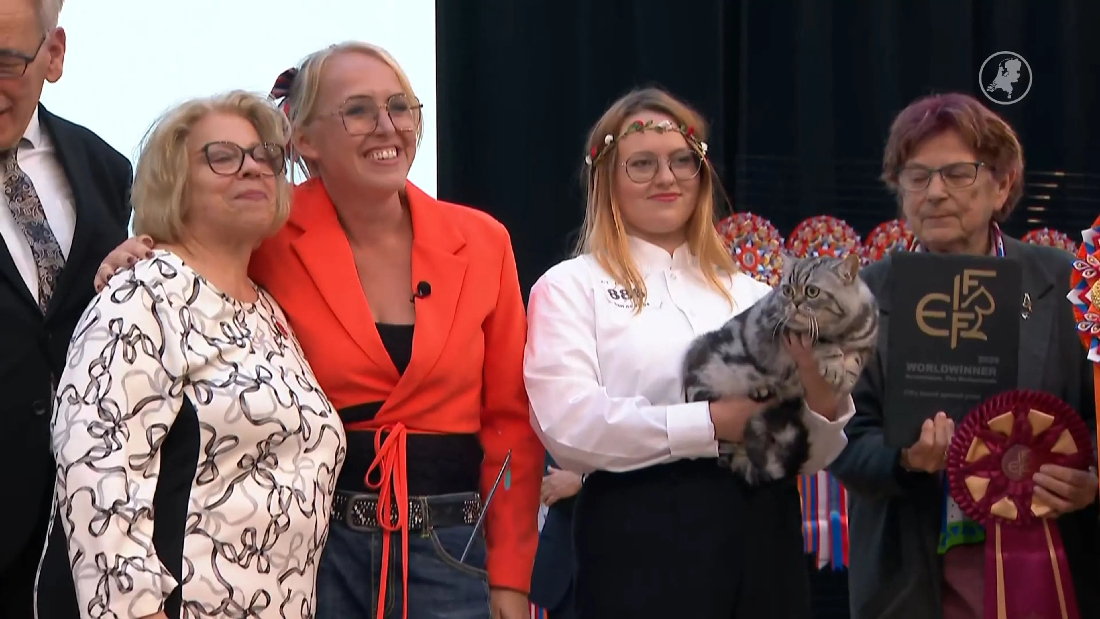 1500 katten strijden in Nederland om titel mooiste kat ter wereld