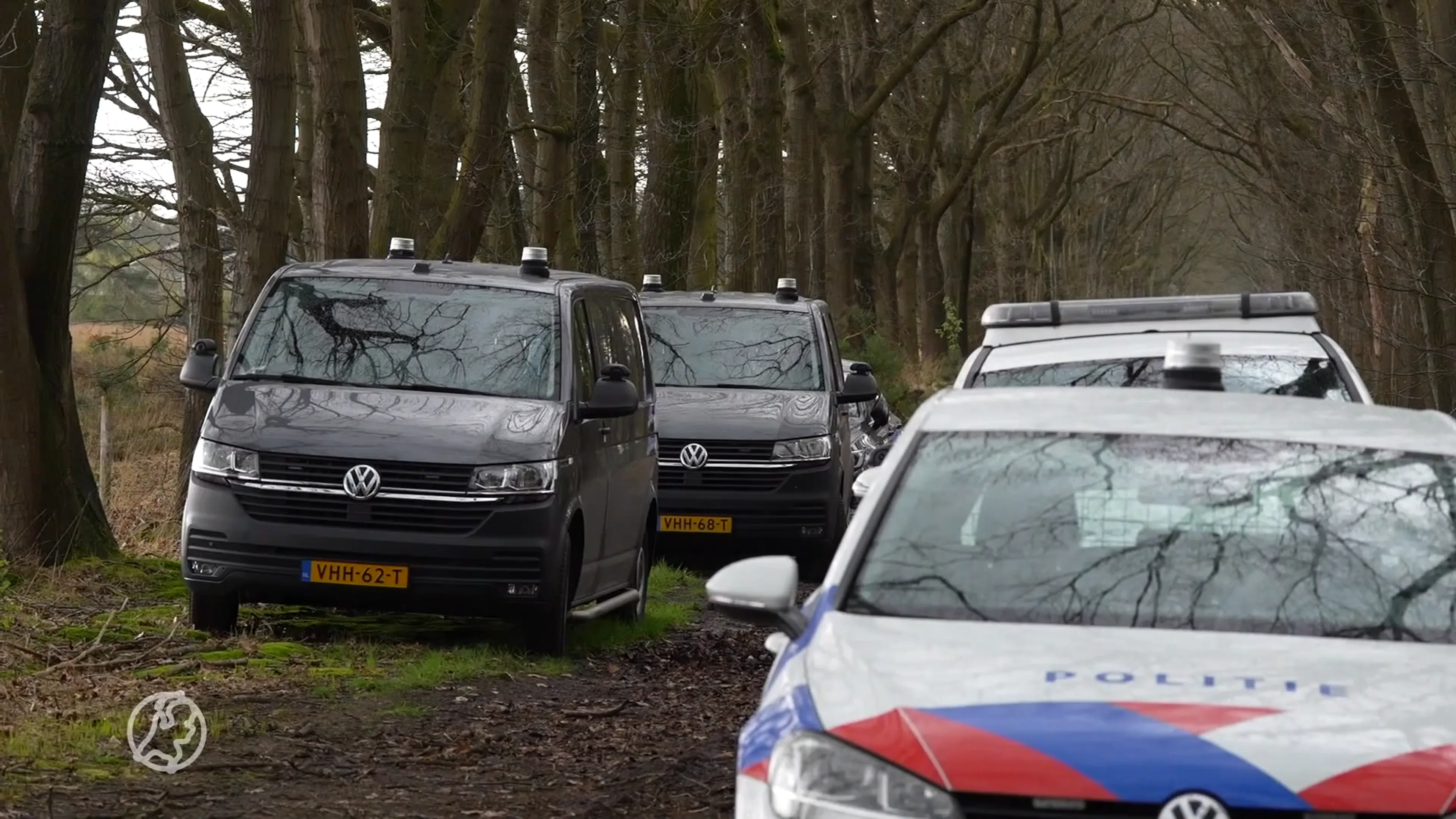 Hondjes aangetroffen bij lichaam dode vrouw in bos Elsendorp