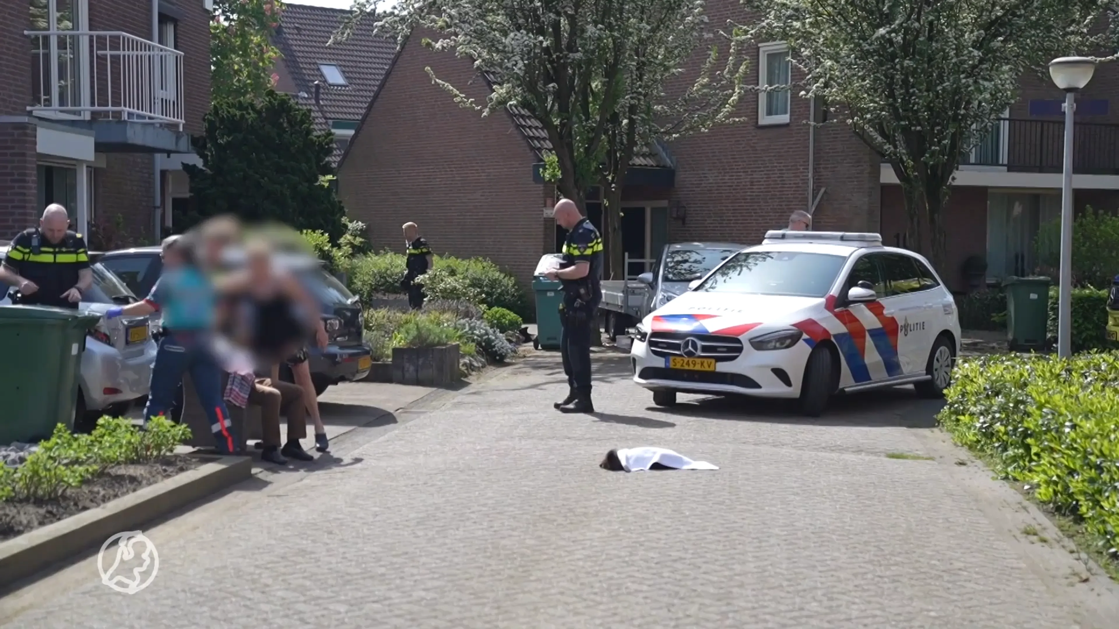 Aangereden hond bijt helpende vrouw na ongeluk in Weert