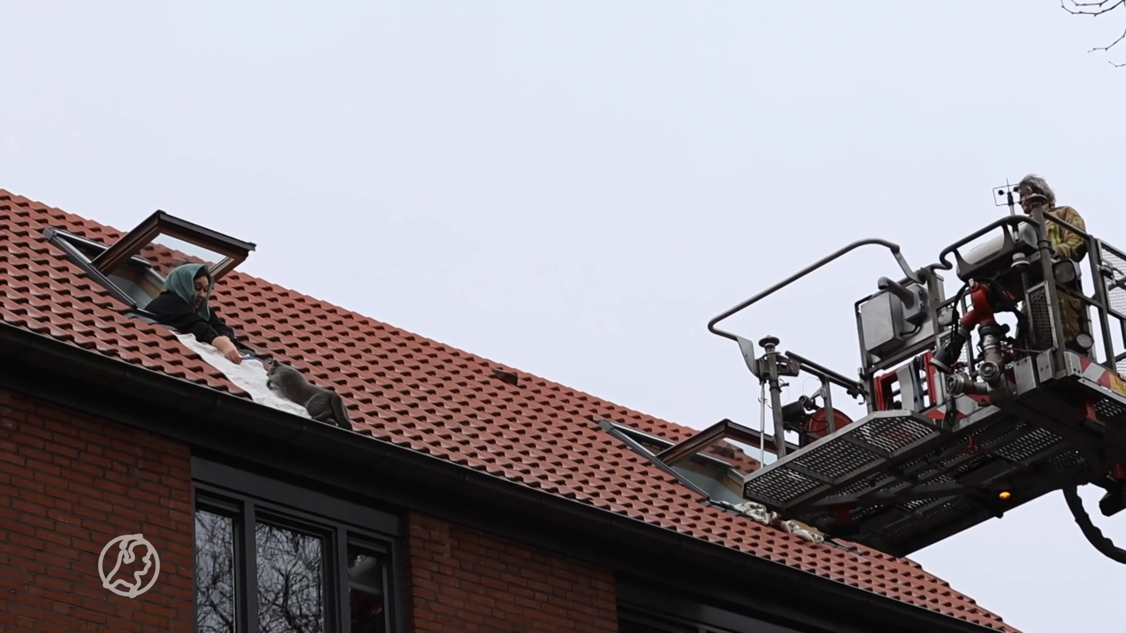 ZIEN: Eigenaar redt poes met kleedje uit dakgoot
