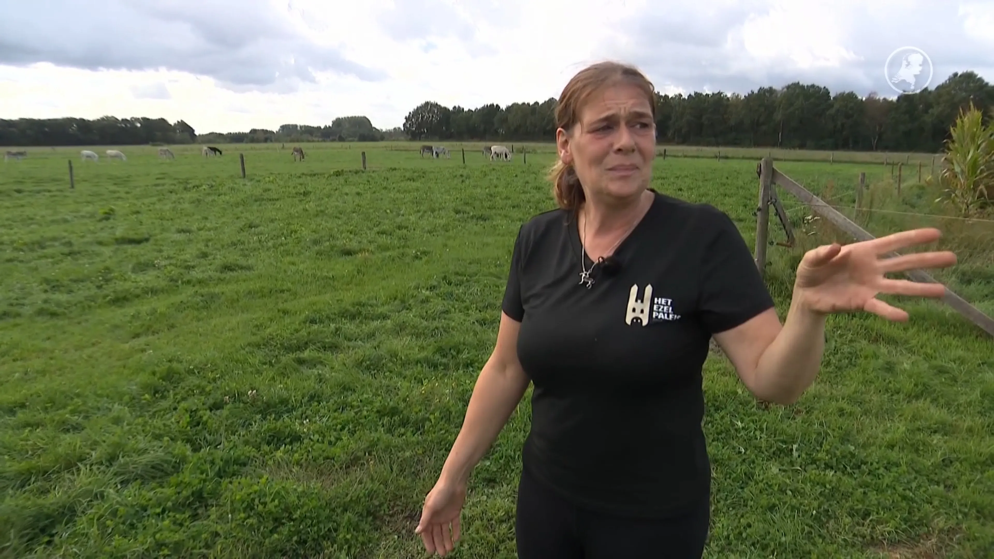 Ezel Pleuntje verdwijnt uit wei en wordt dood teruggevonden: 'Wie doet zoiets?'