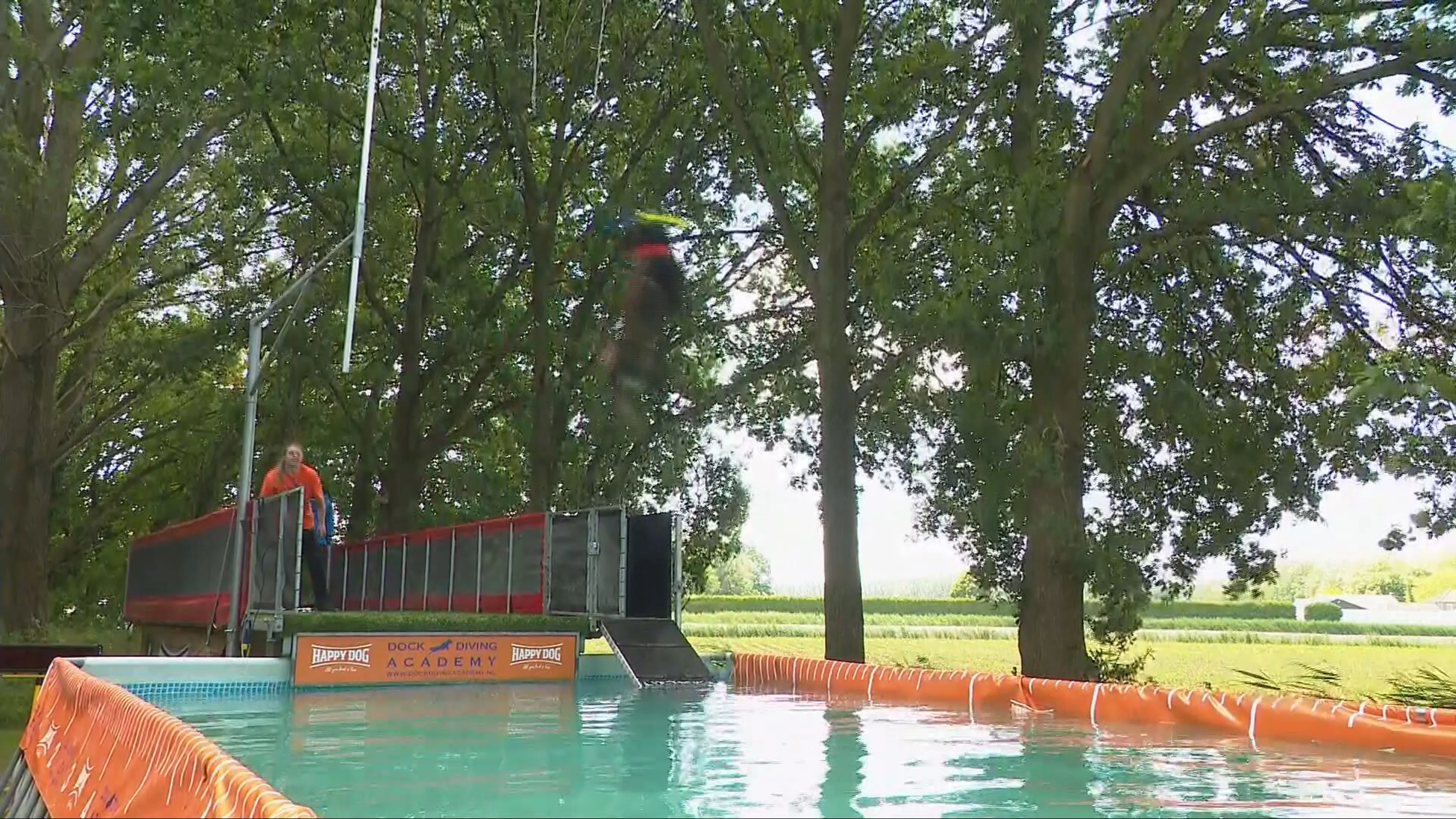 Nieuwe hondensport gaat veel verder dan 'af' en 'pootje'