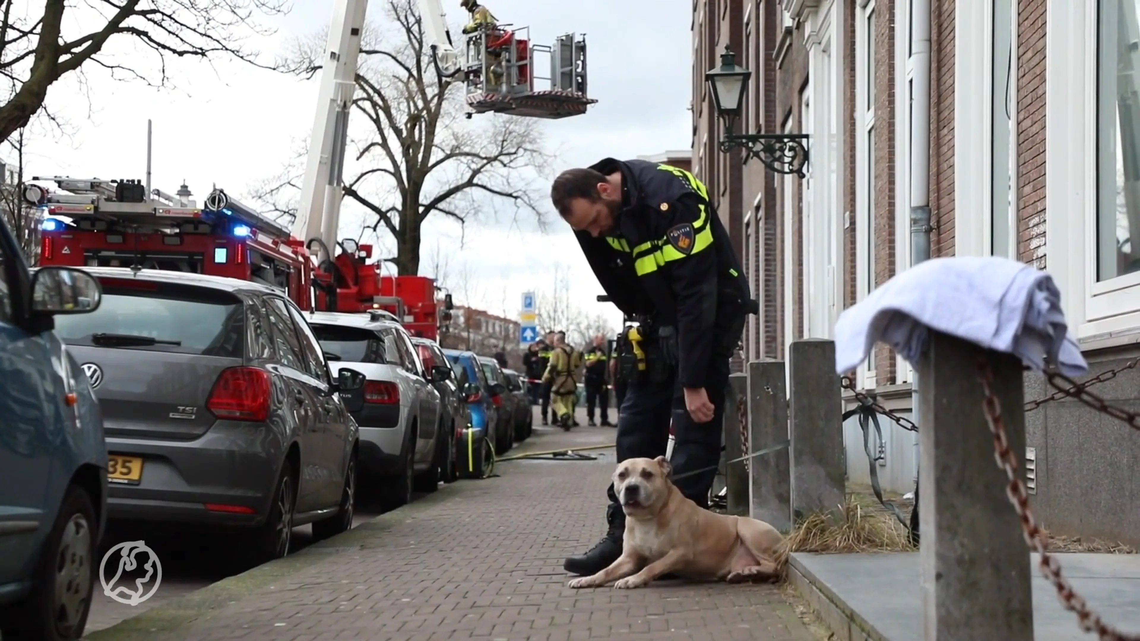 Gewonden bij brand in portiekwoning Den Haag