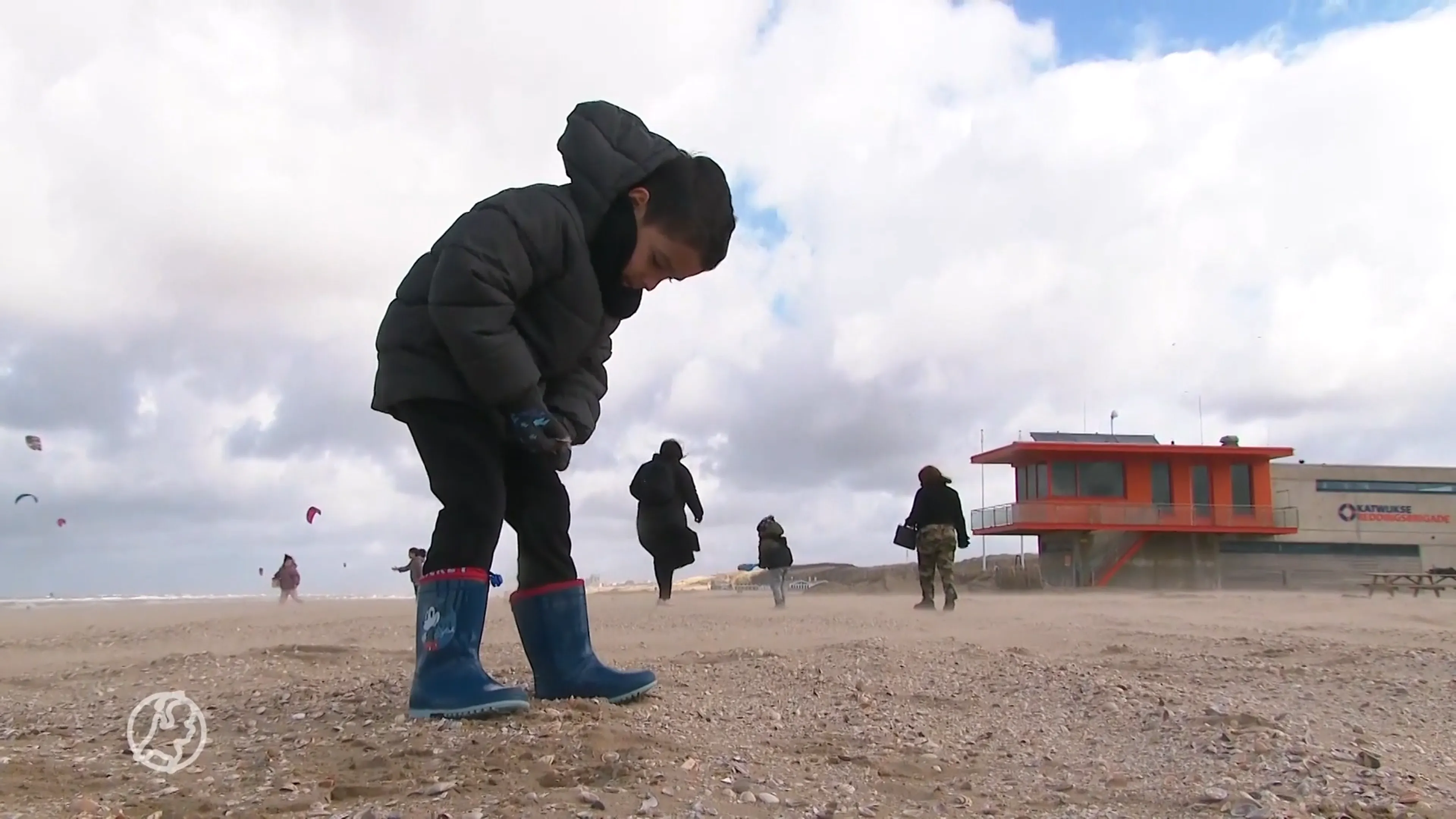 Kinderen helpen enthousiast mee met schelpenteldag: 'Leuk en leerzaam'