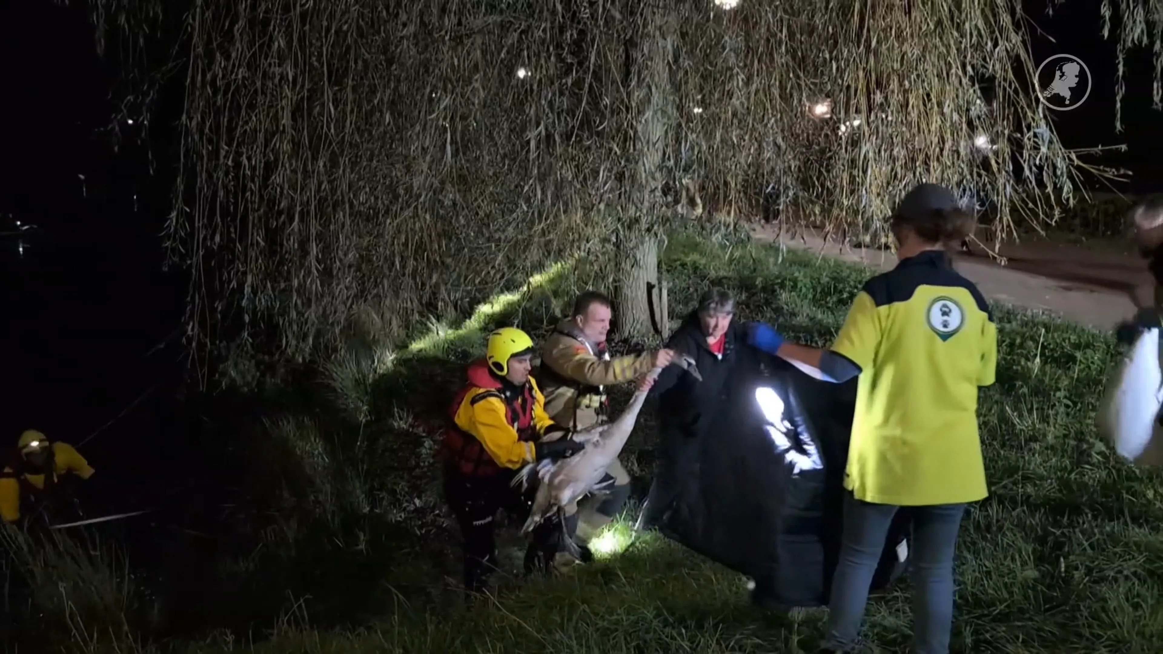 Waterfiets helpt brandweer bij redding zwaan uit visdraad