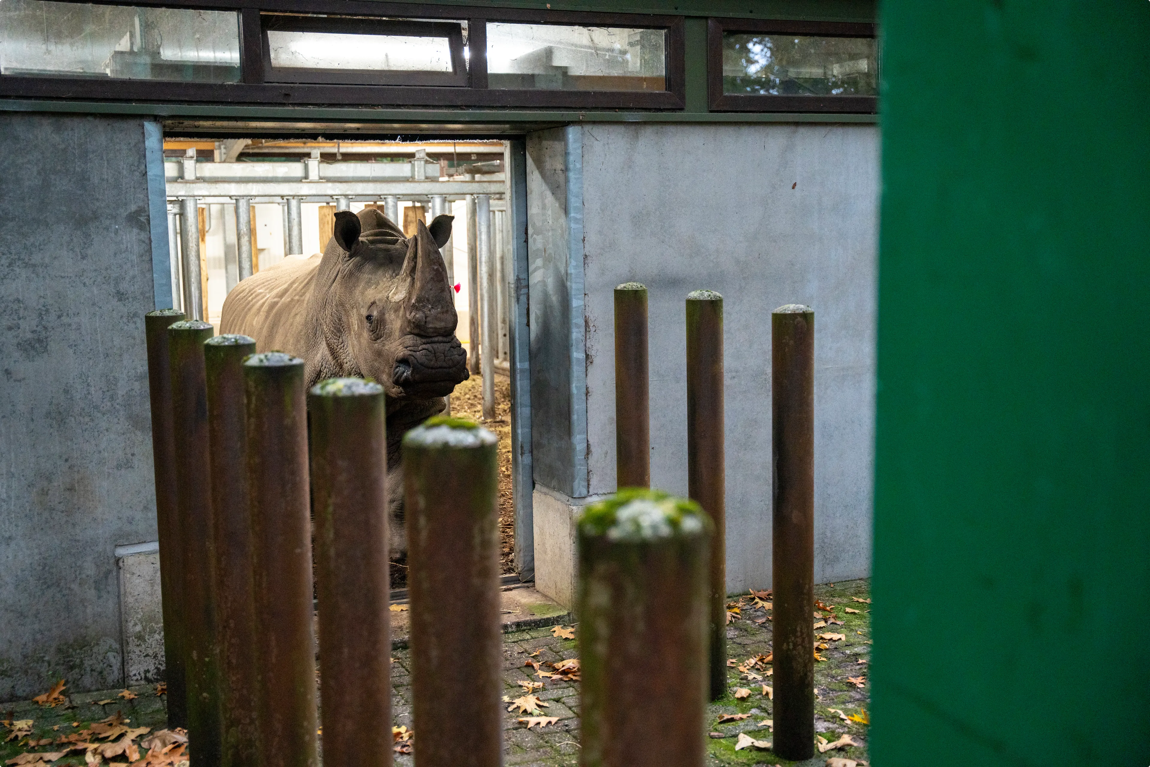 Beeld: Burgers' Zoo