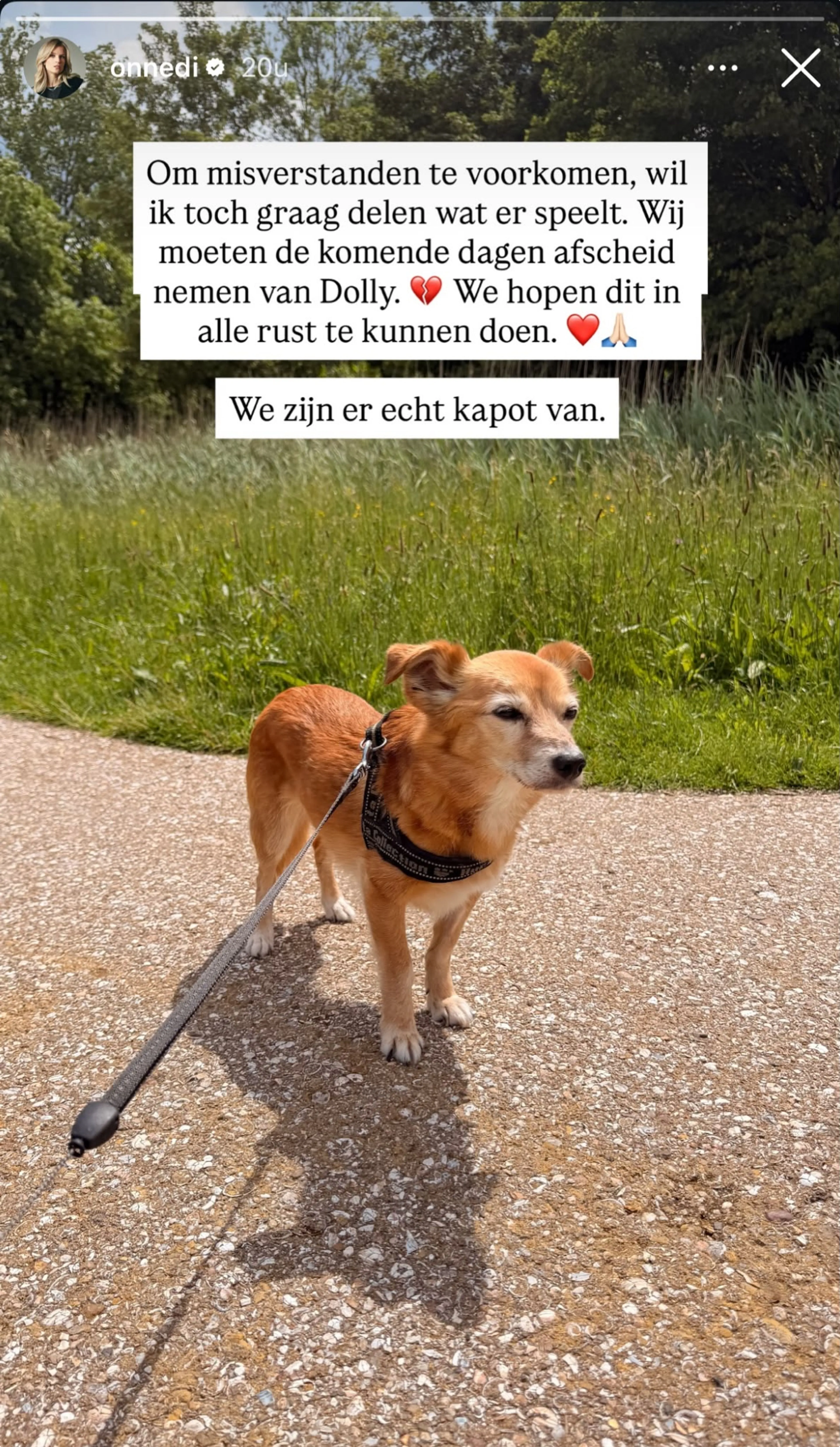 Instagram Dionne Slagter