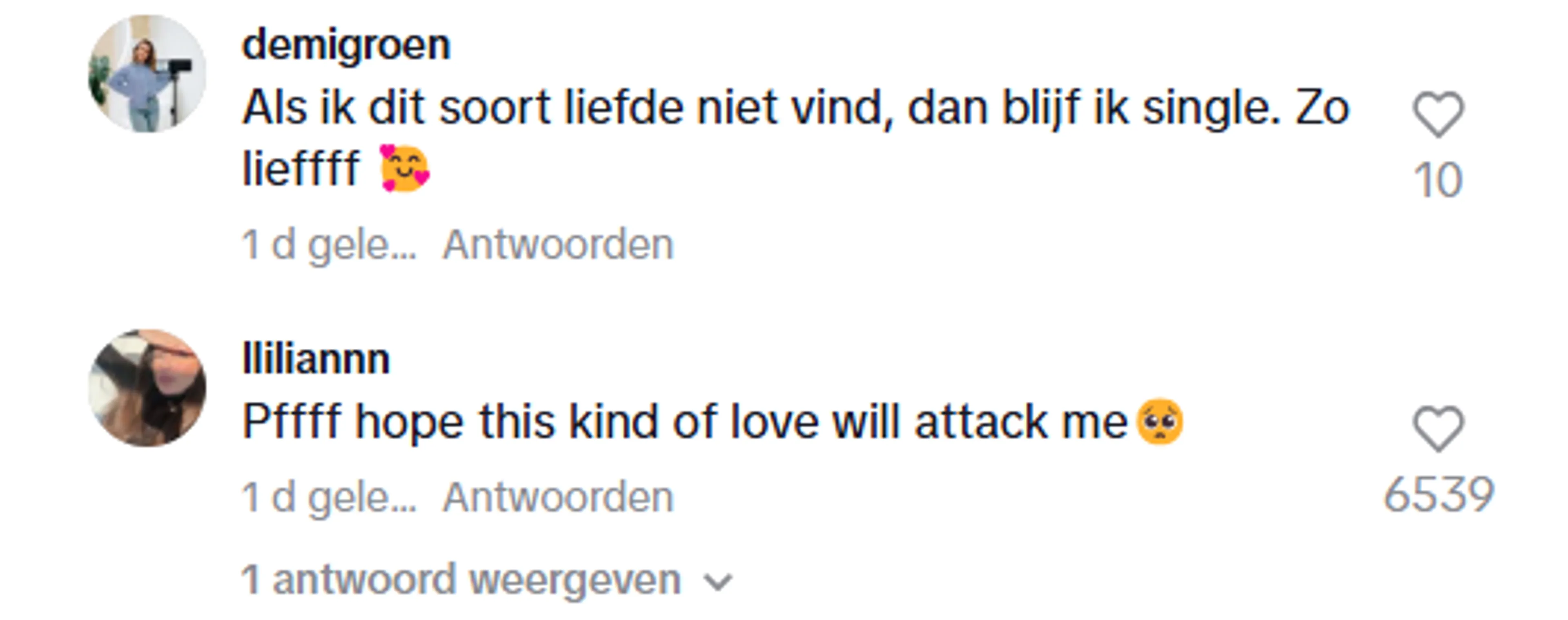 Bron: TikTok Thijs Boermans