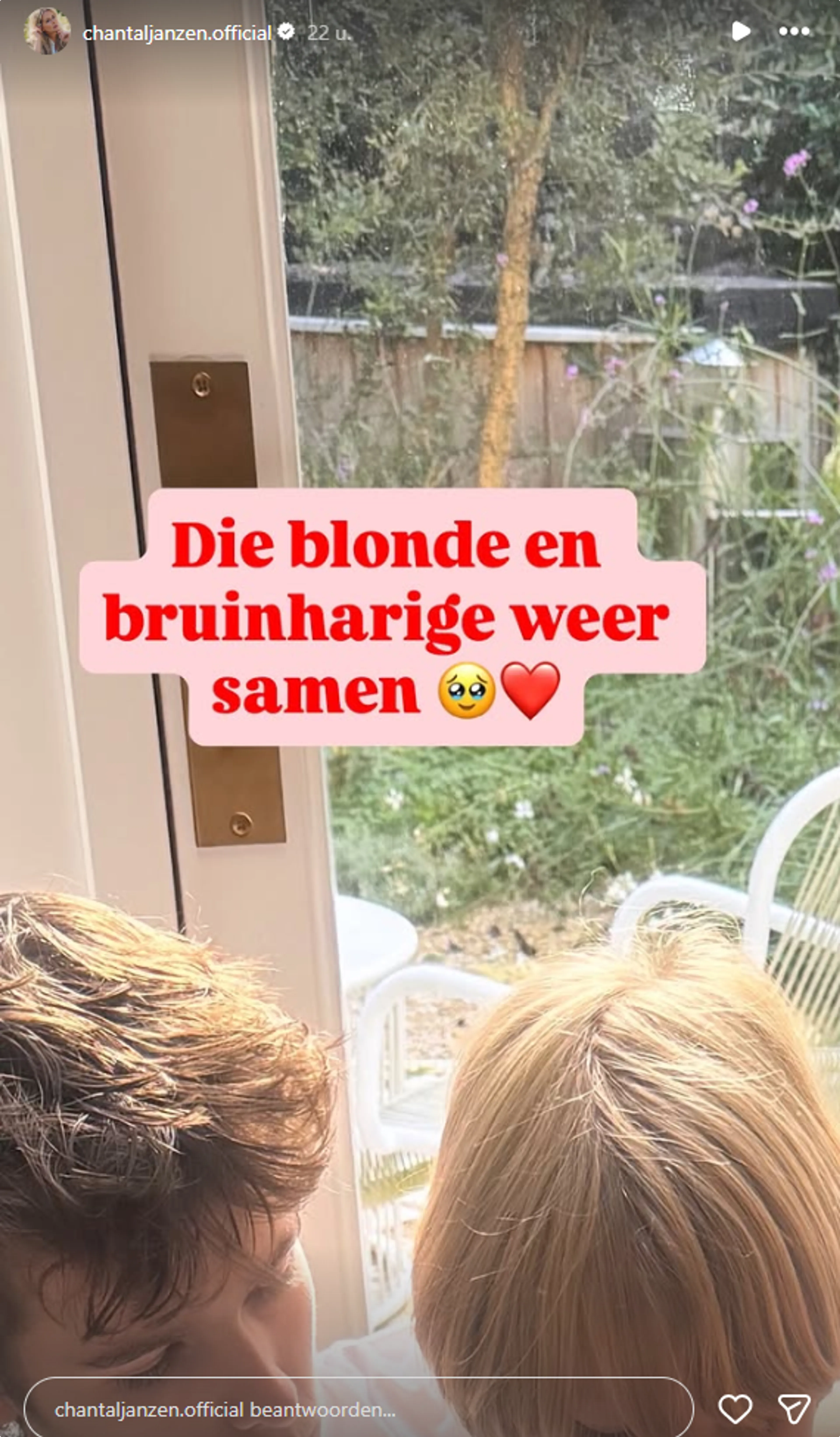Bron: Instagram Chantal Janzen
