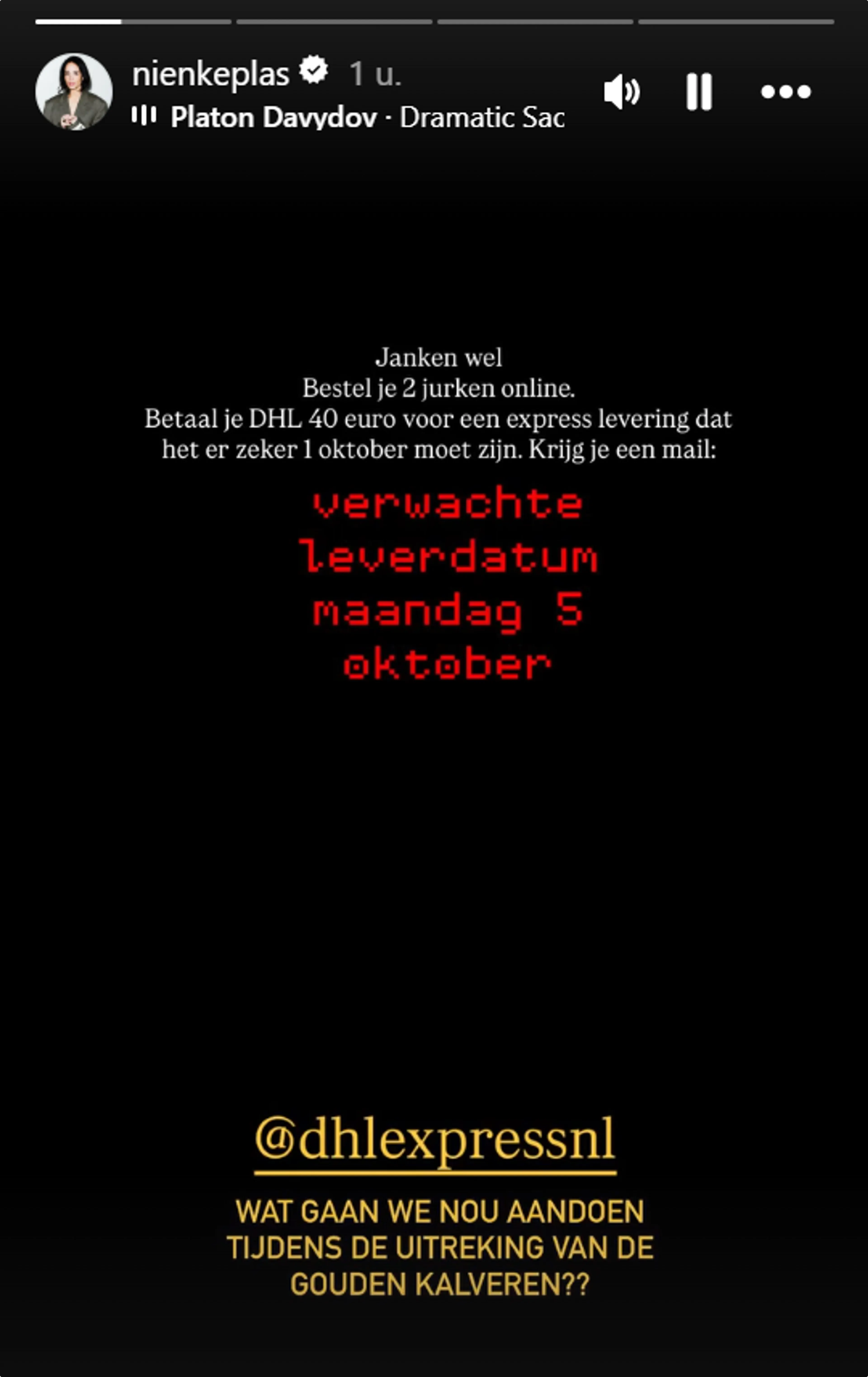 Bron: Instagram Nienke Plas