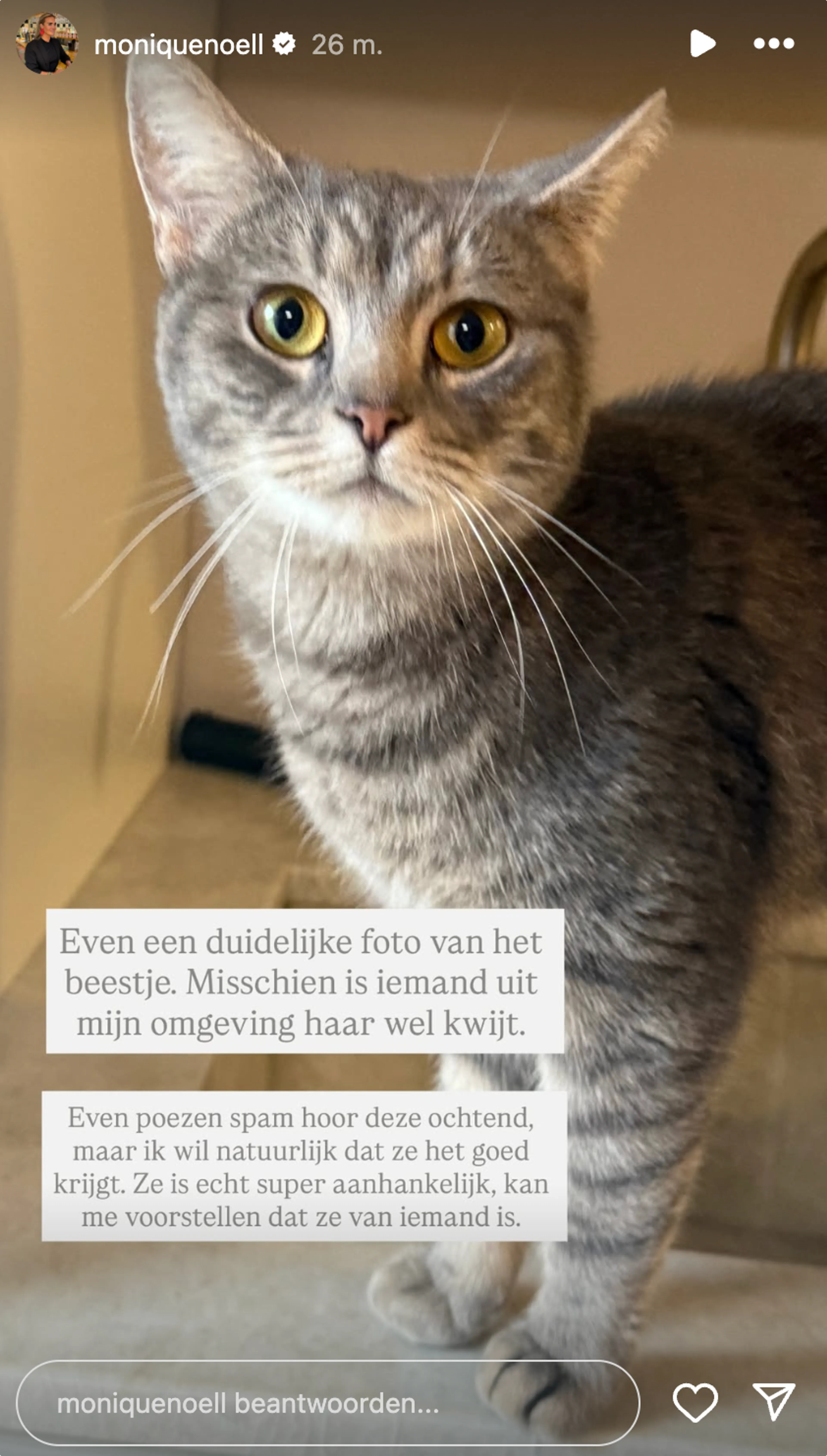 Bron: Instagram Monique Westenberg