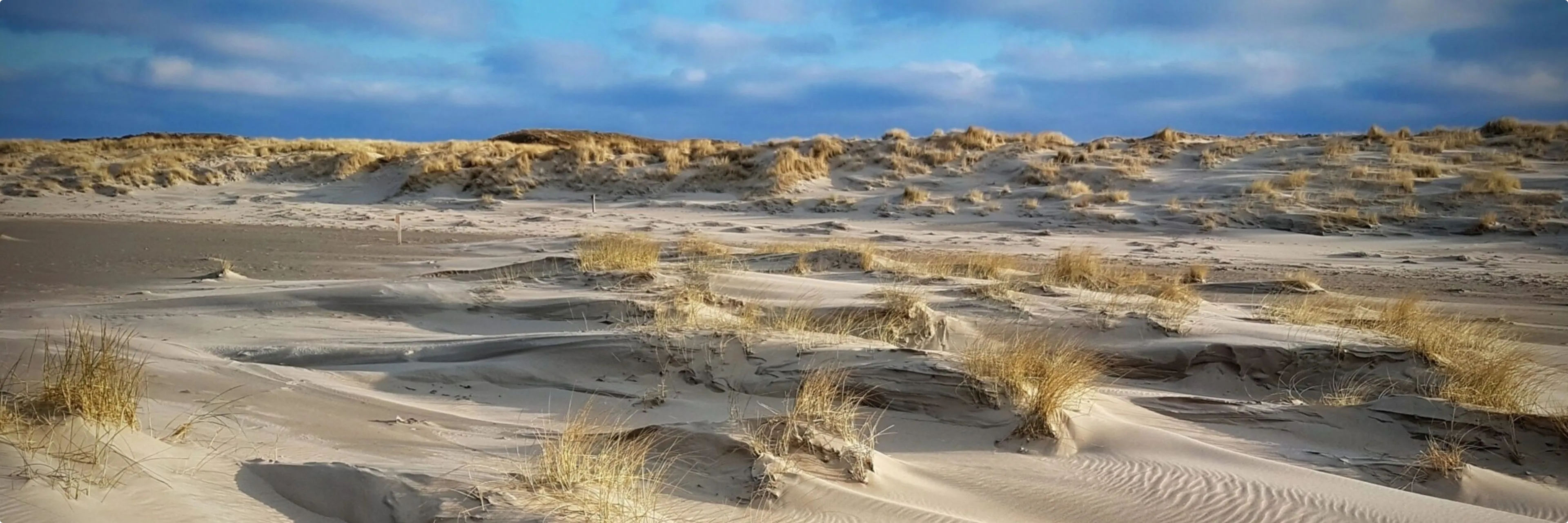 Foto: VVV Texel