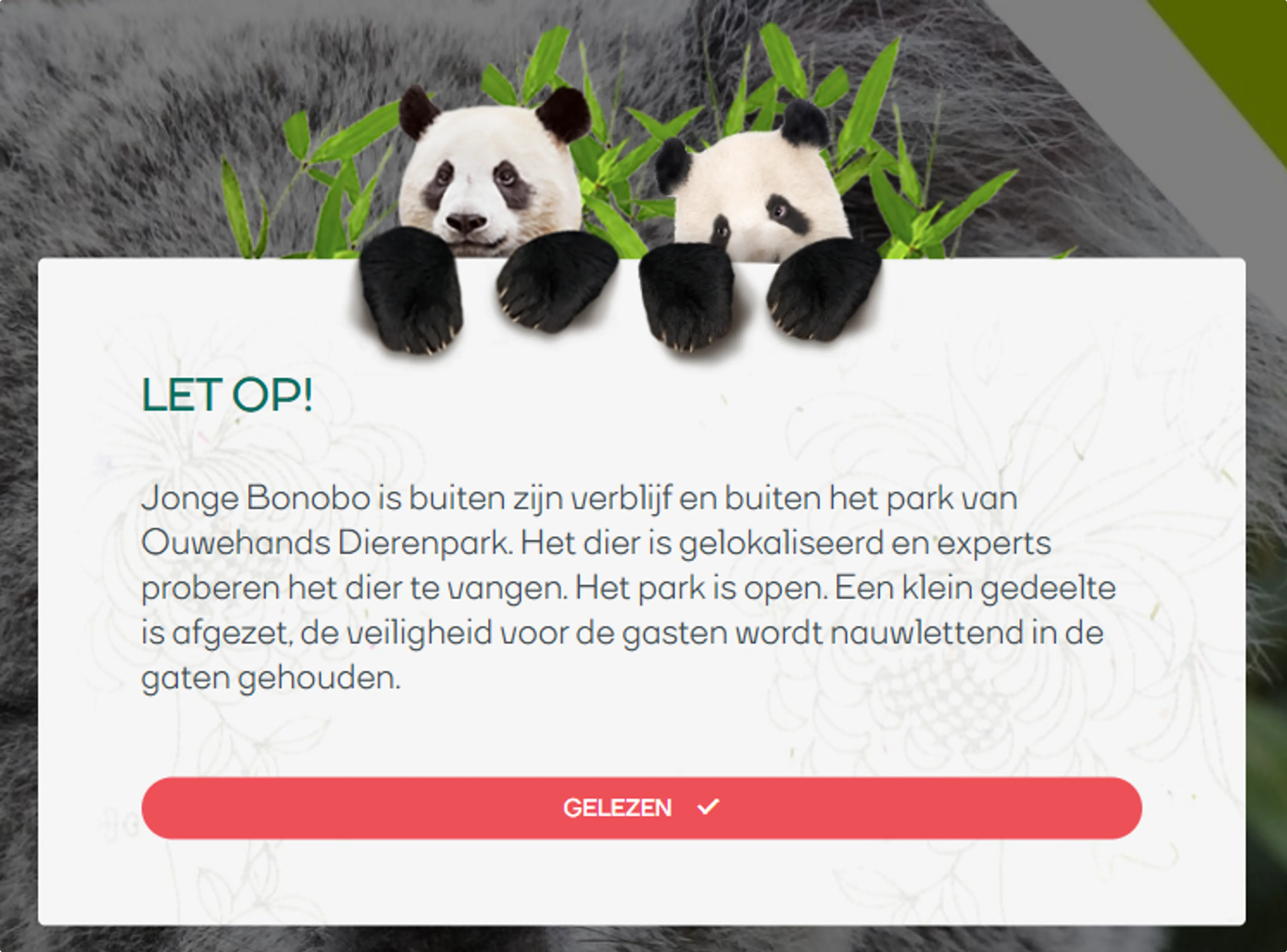 Ouwehands Dierenpark heeft een waarschuwing van de ontsnapte aap geplaatst op de website. 