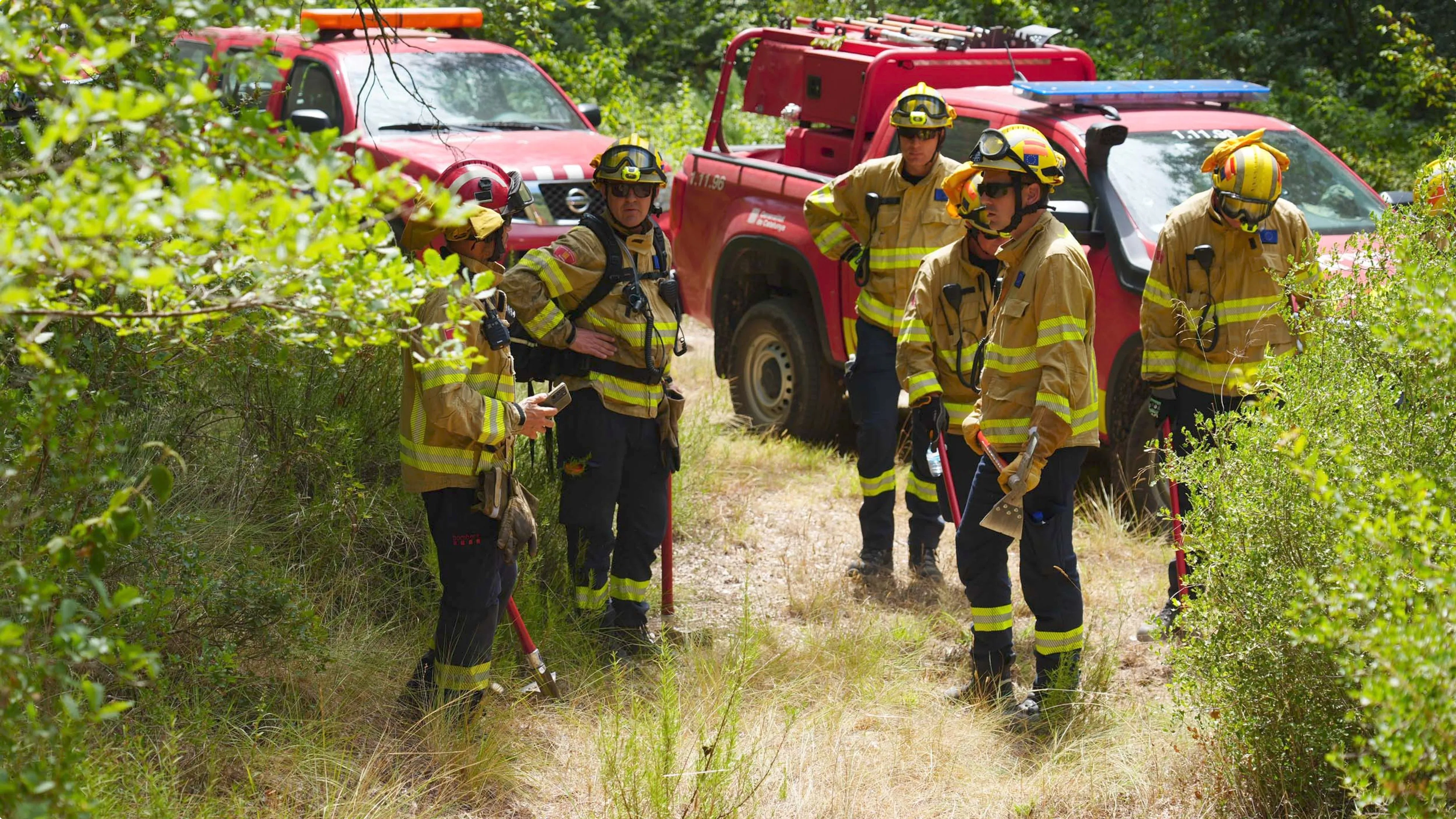 Nederlandse brandweerlieden helpen met het bestrijden van de bosbranden in Spanje.