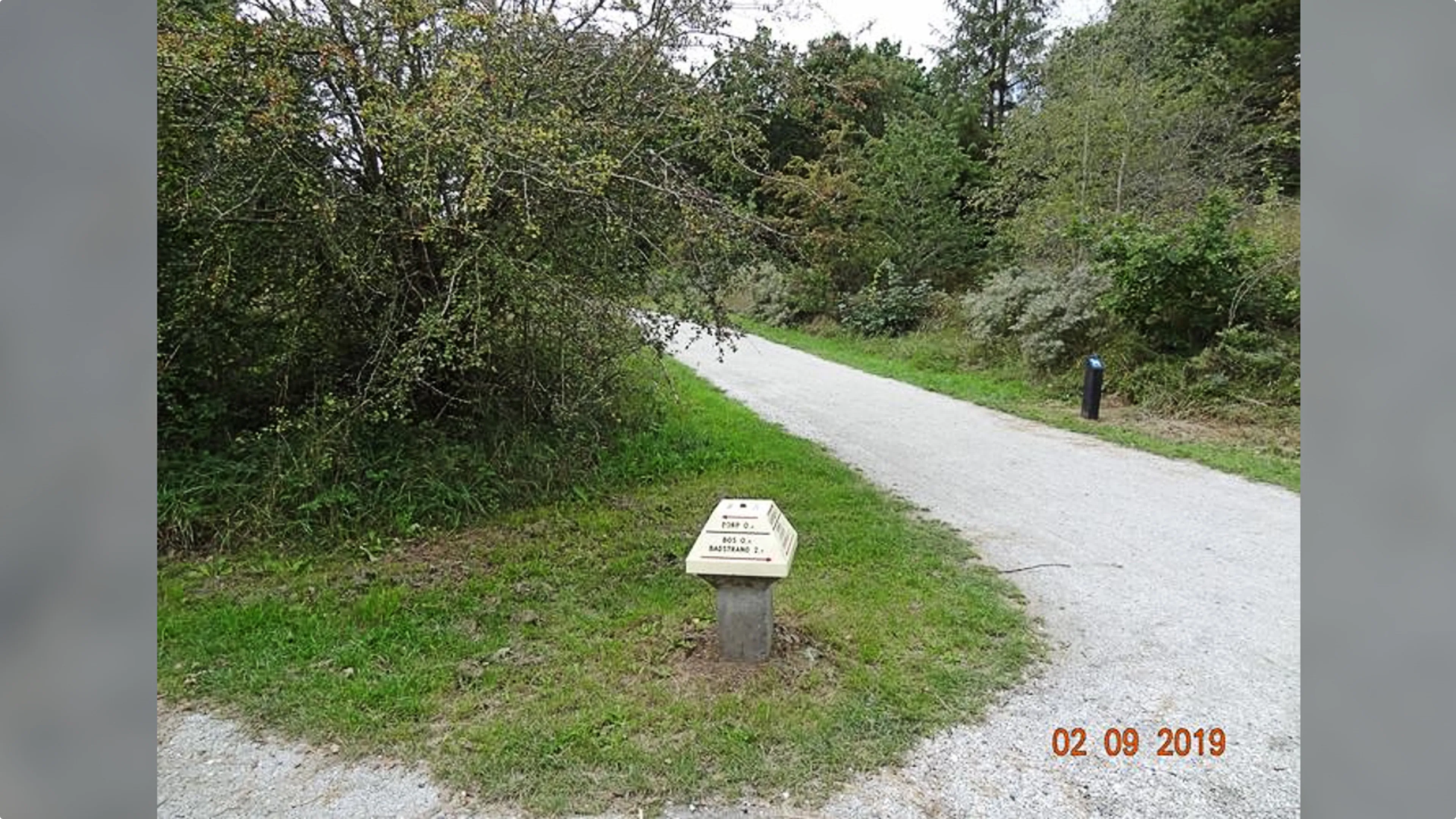 anwb paddenstoel 2