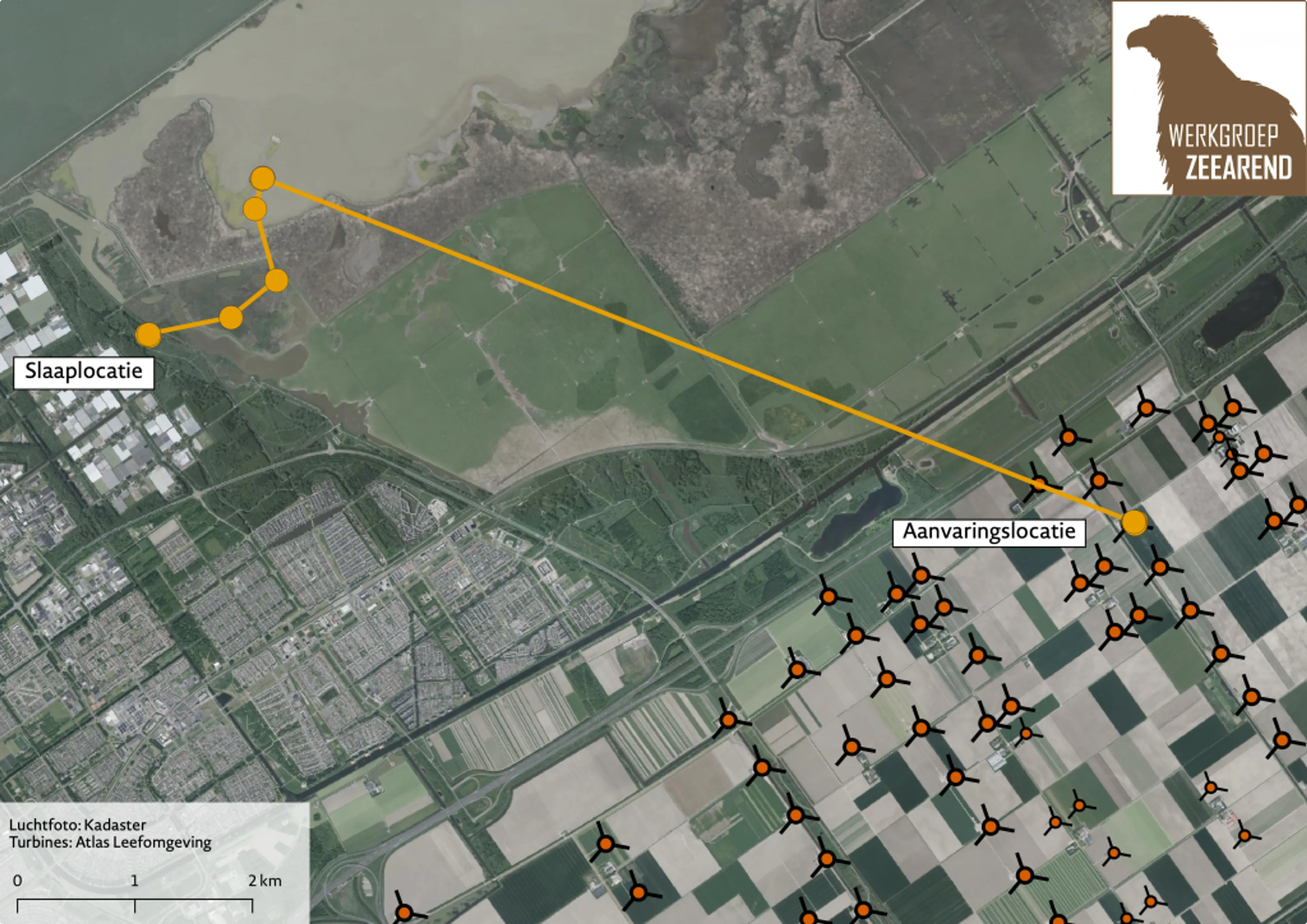 De bewegingen van de laatste dag van zeerarend Spijk 2020. De oranje stippen zijn locatiebepalingen. Kleine turbinesymbolen zijn turbines met ashoogte tot 40 meter, grote symbolen hoger dan dat.