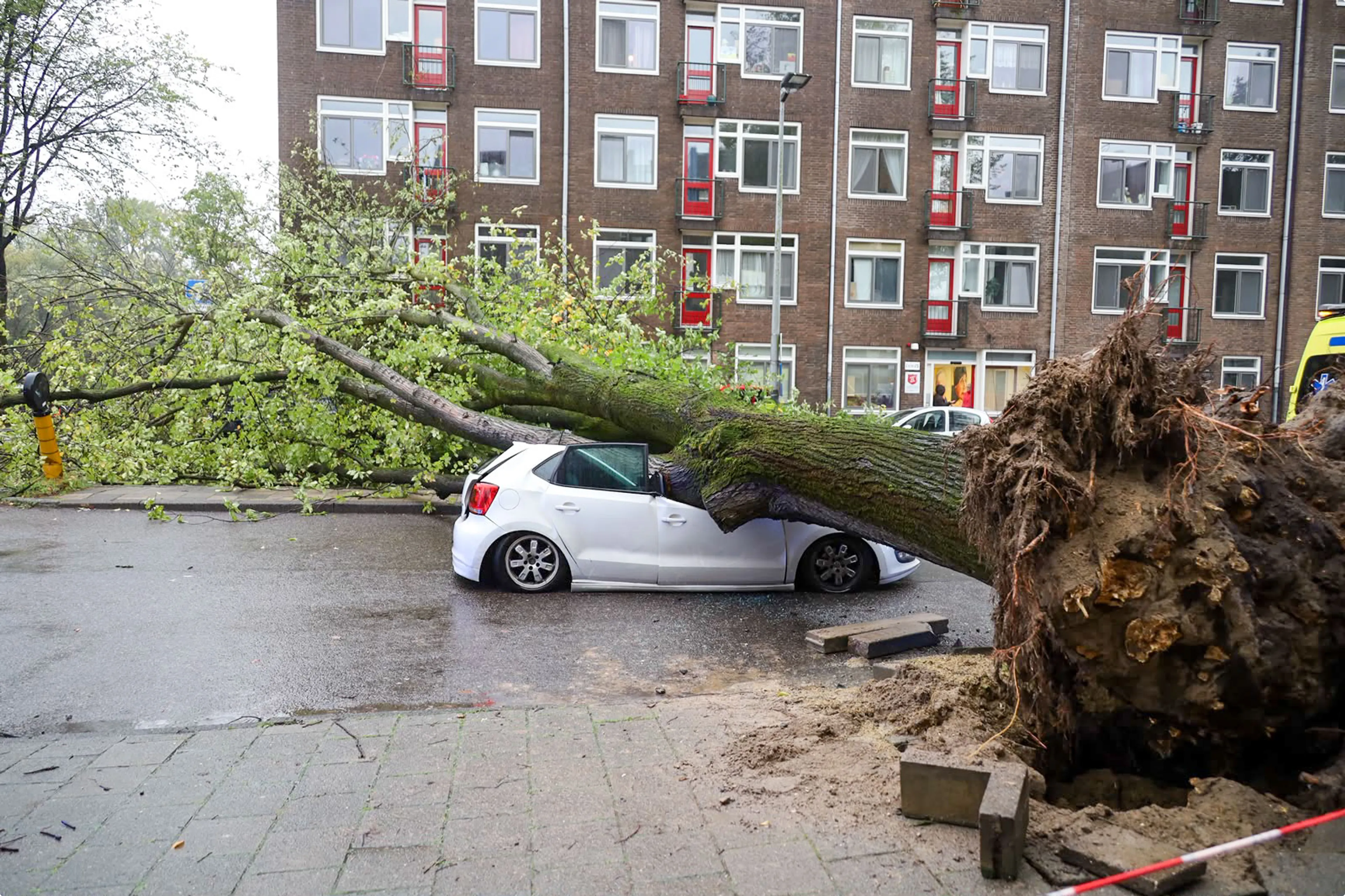 In de Anne Frankstraat in het centrum van Amsterdam is een boom op een rijdende auto gevallen. De bestuurder kwam er zonder kleerscheuren vanaf. Beeld: HFV/Mizzlemedia