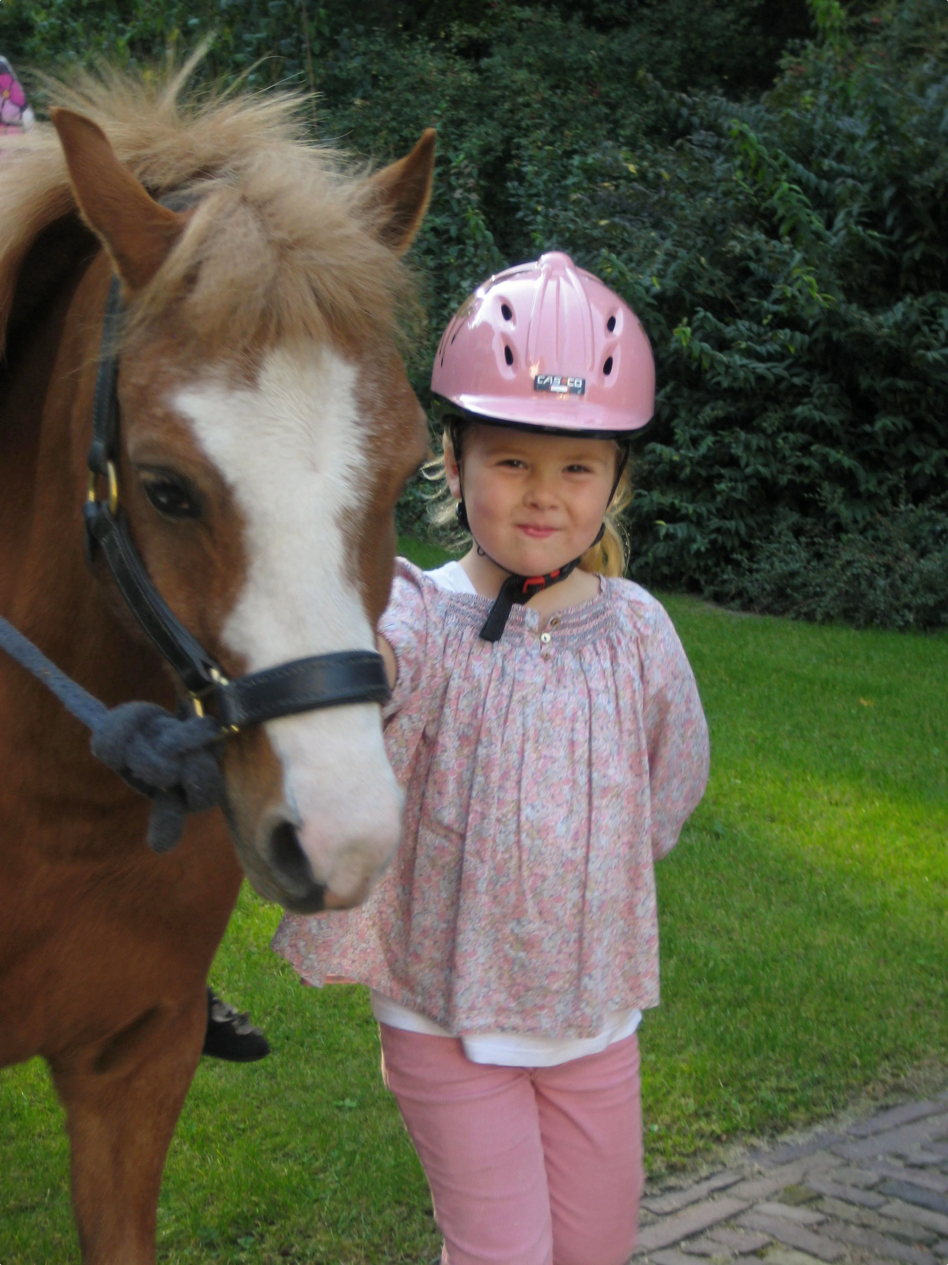 Beeld: RvD
