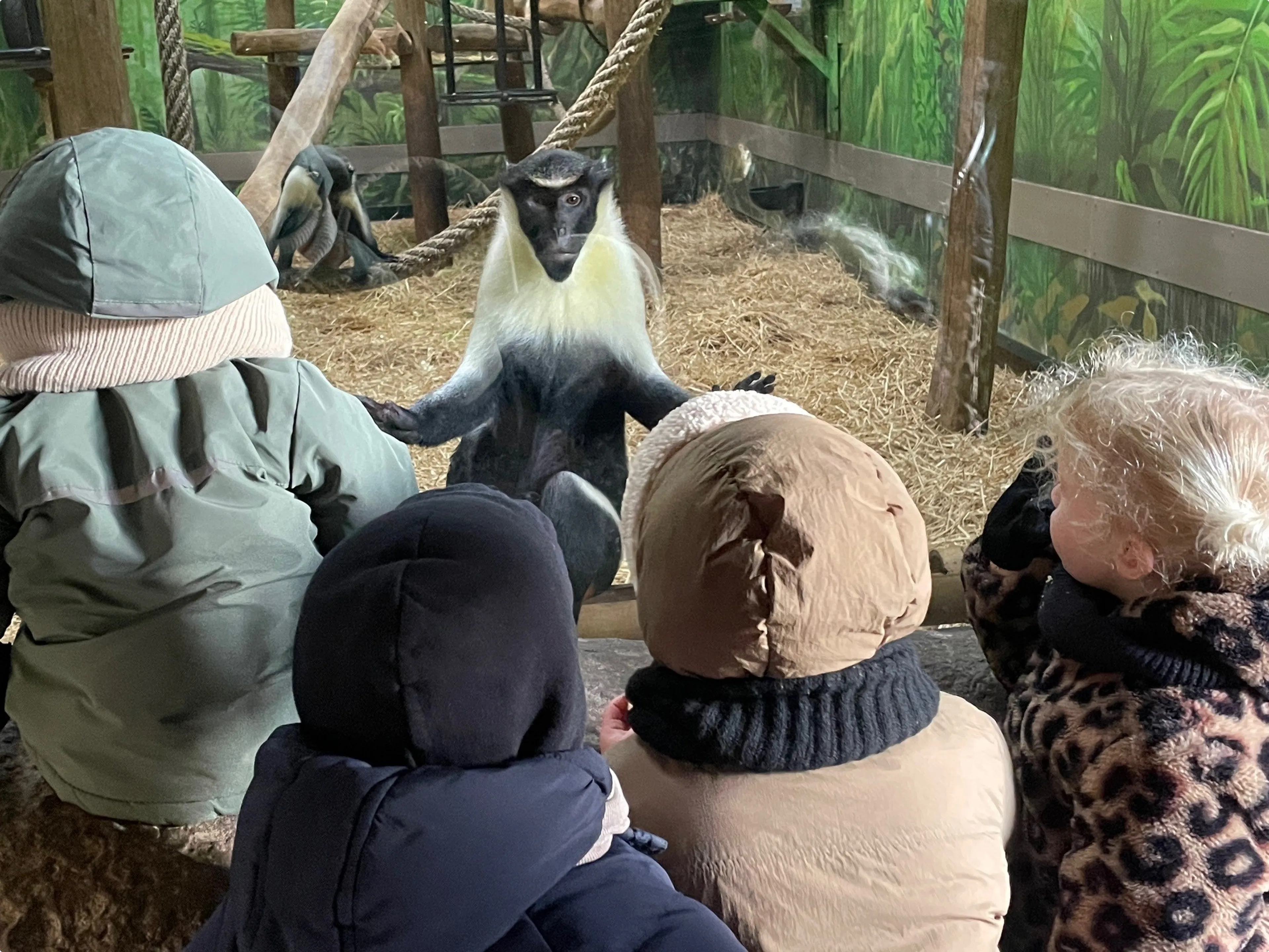 Beeld: Diergaarde Blijdorp