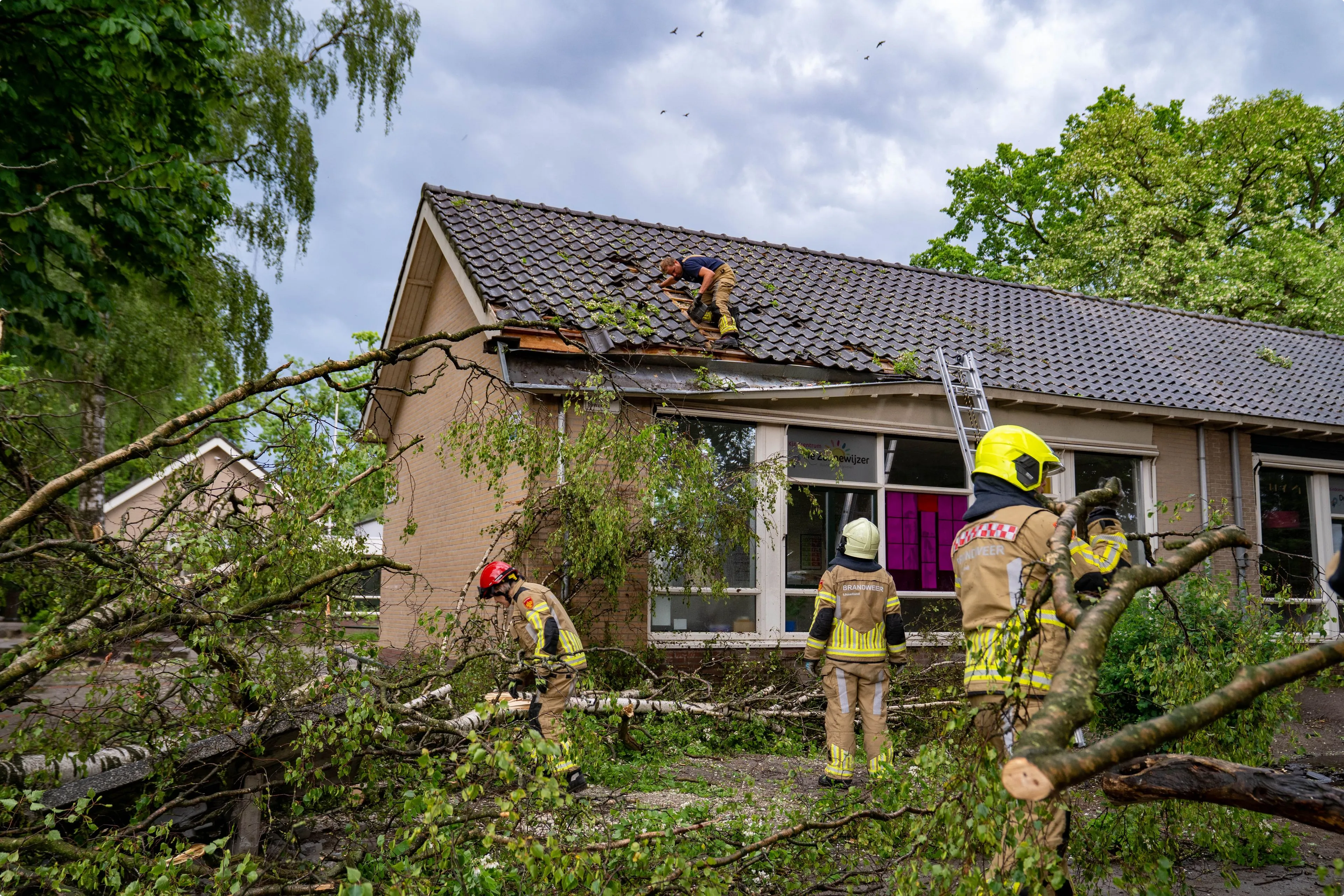 Boom valt op basisschool Diepenveen. Foto: SPS Media