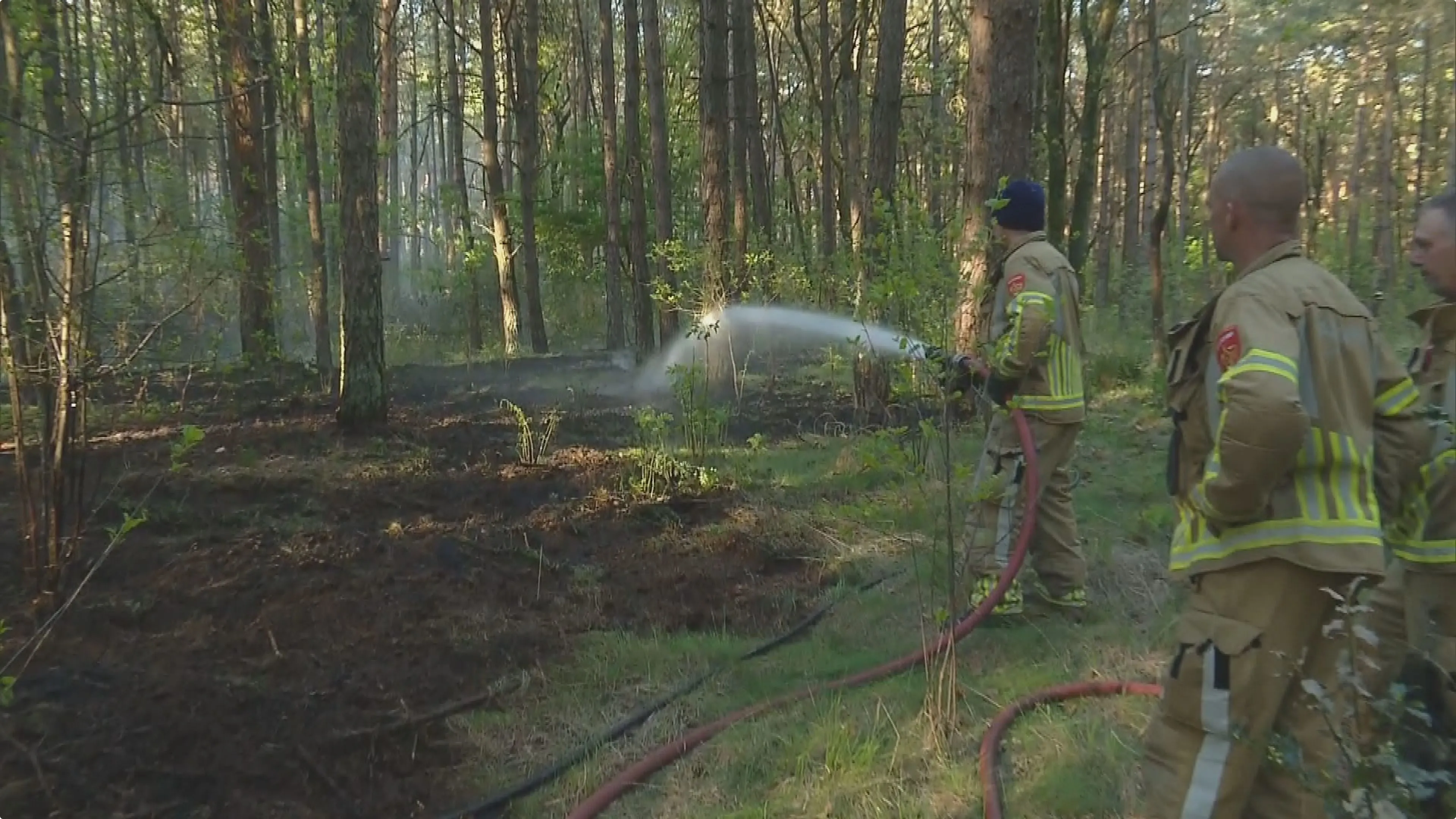 De brand in Helden was al snel onder controle. Beeld: Track'88