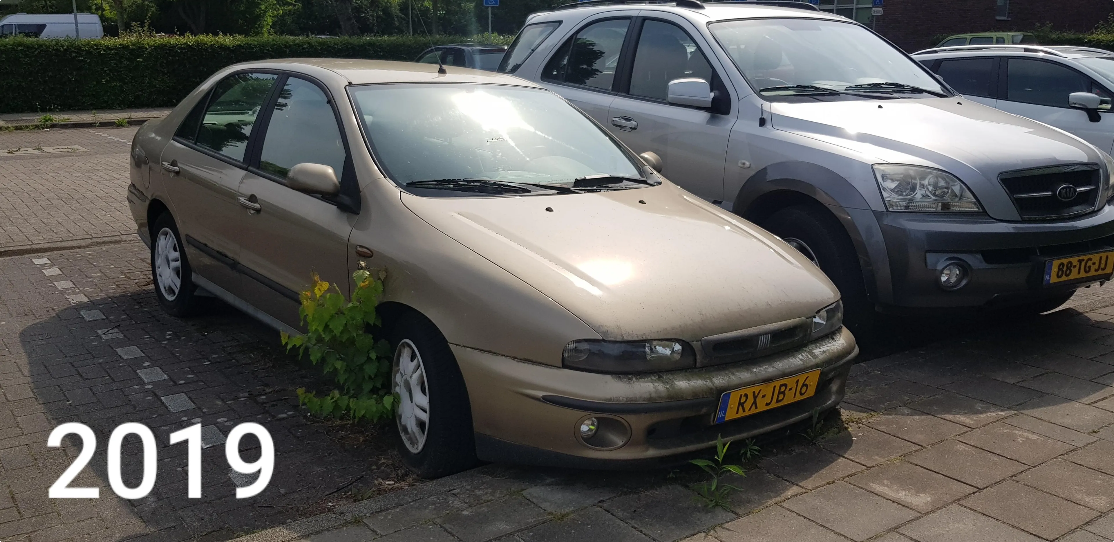 Ouwe Fiat 2019