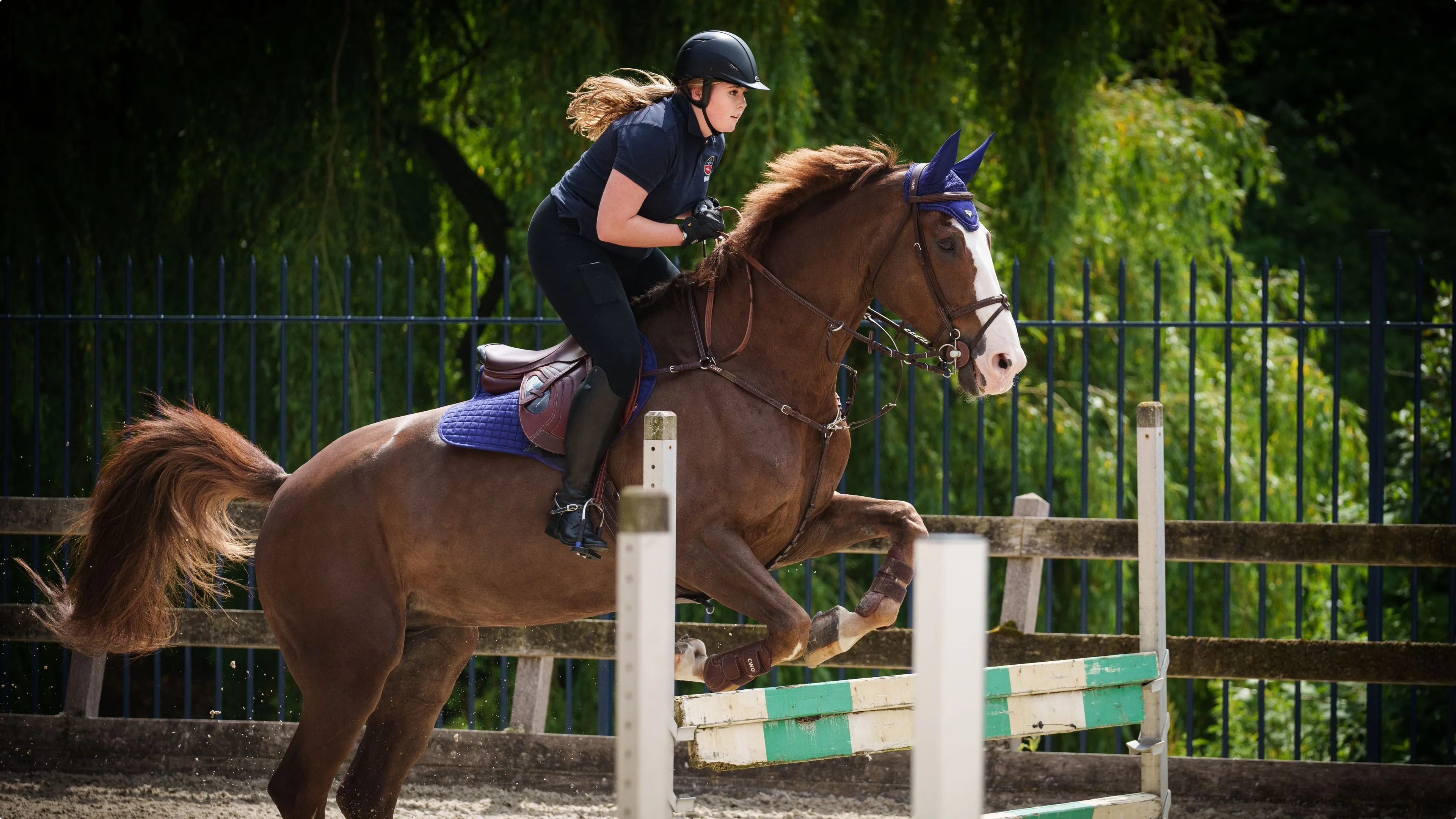 Beeld: RvD