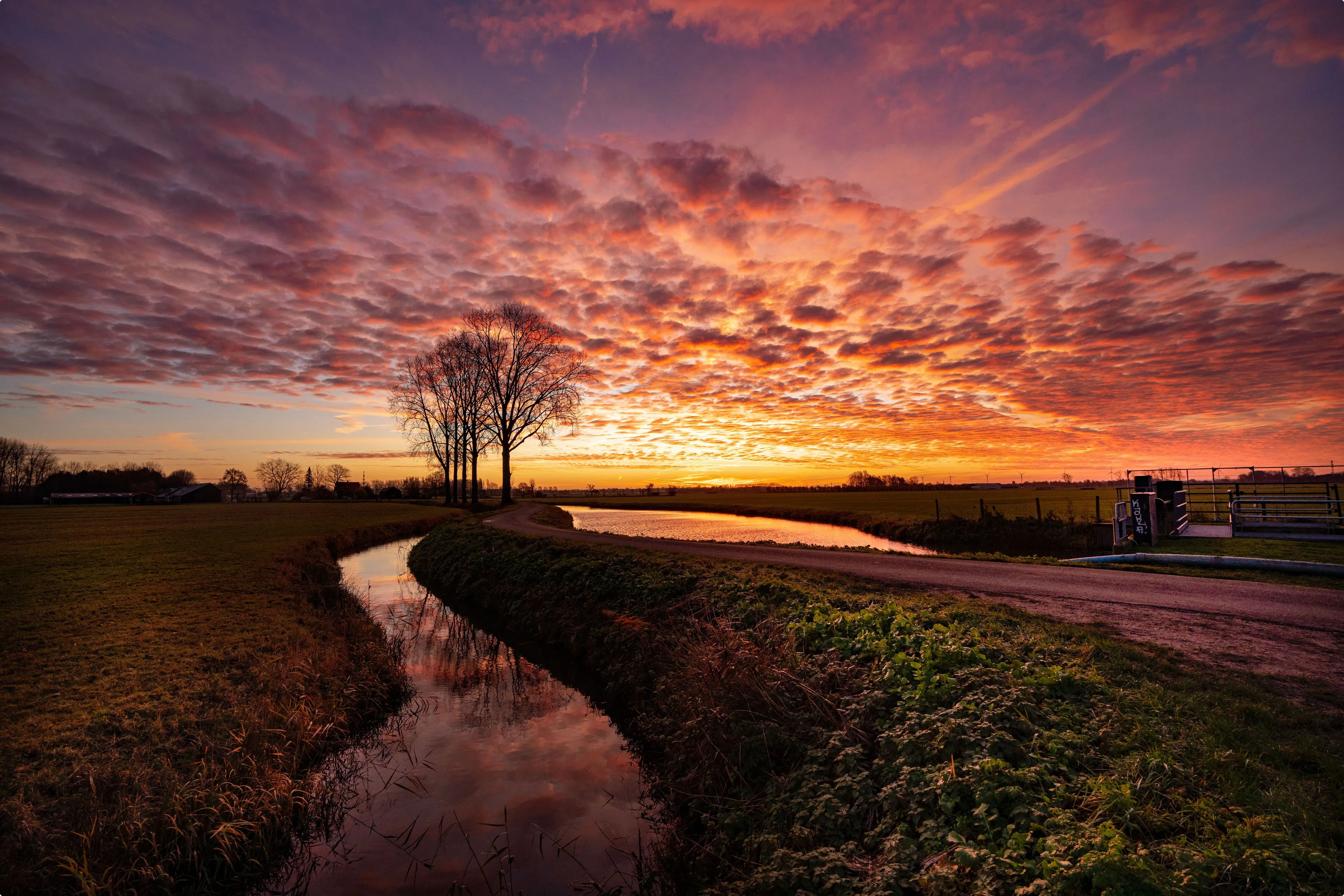 Beeld: Marinus de Keijzer, Rhenoy