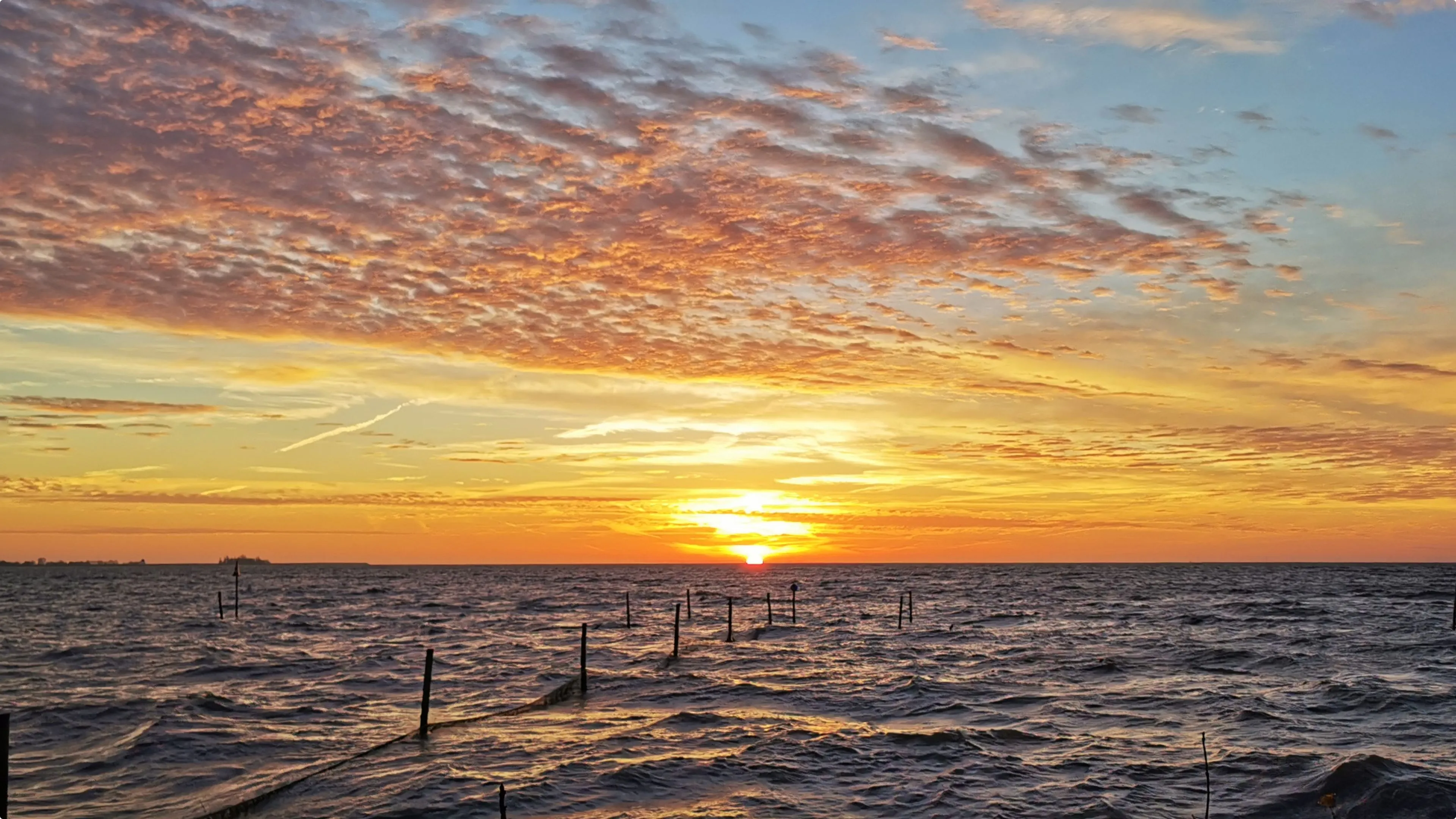 Beeld: Gerrie Zanbergen, Hoorn