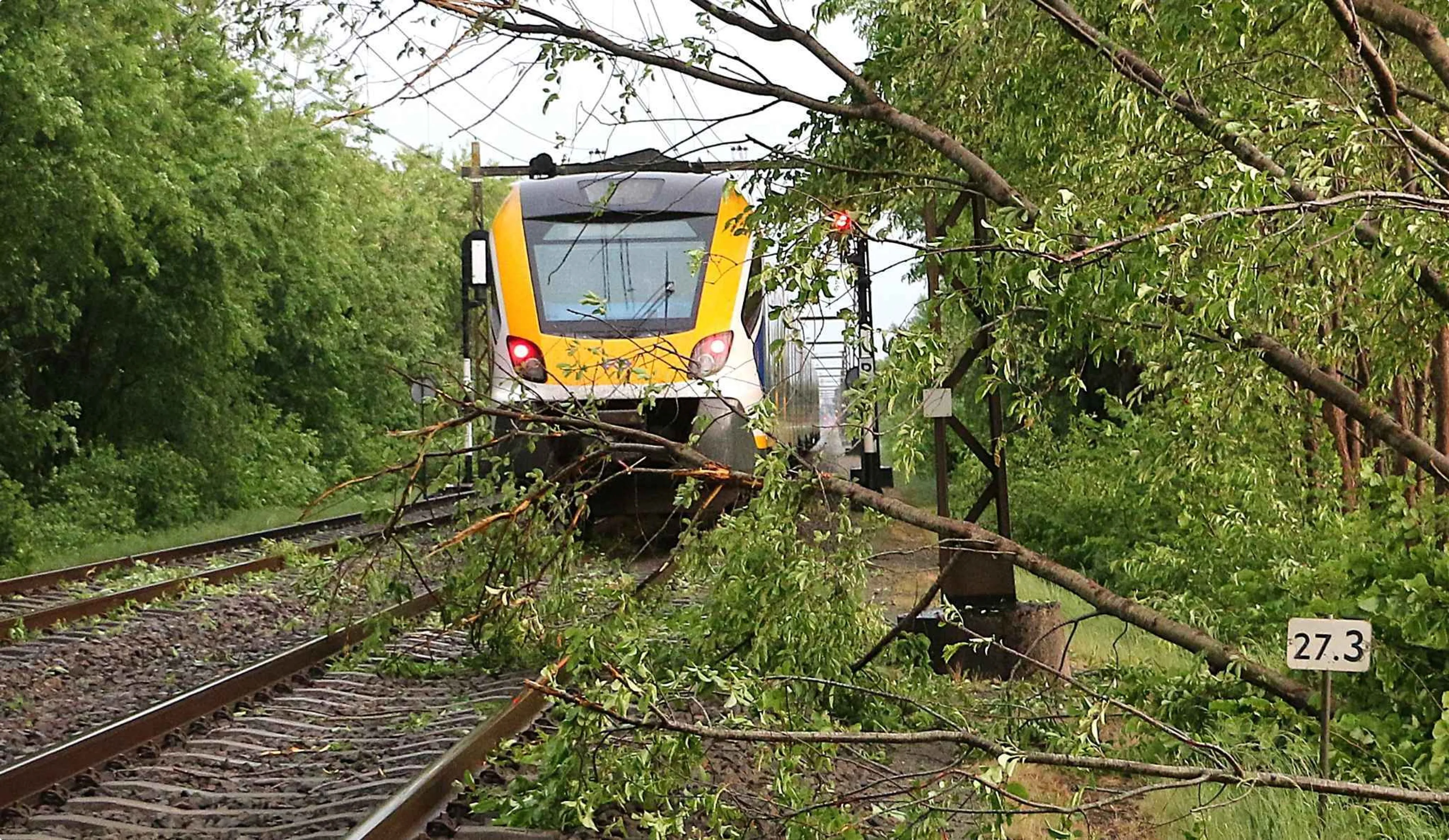 Boom waait op spoor. Foto: Persbureau Meter