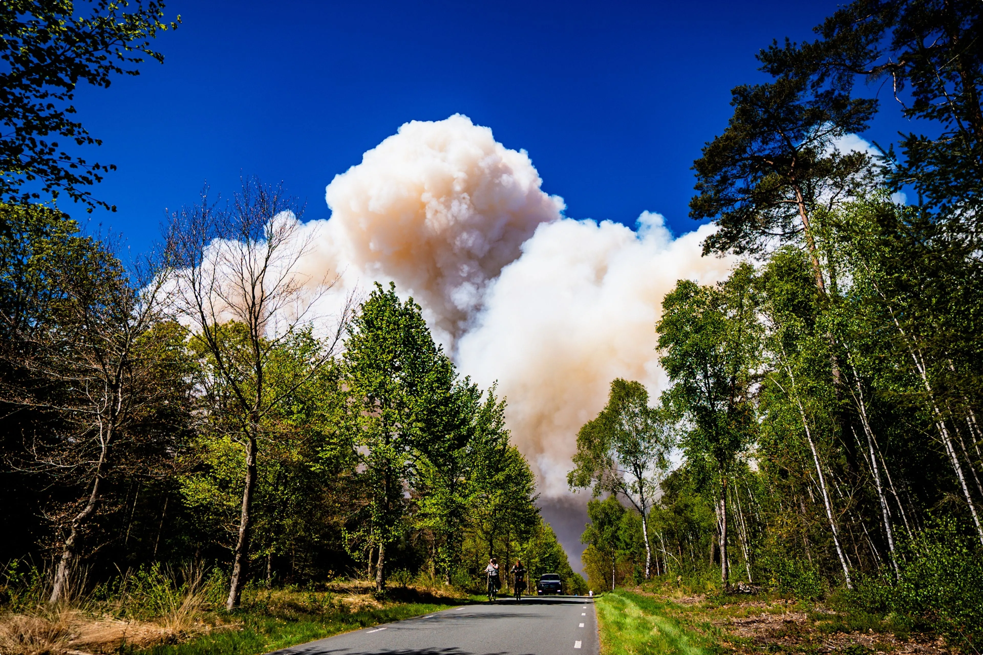 Dikke rookwolken stijgen hoog boven het bos uit. Foto: ANP