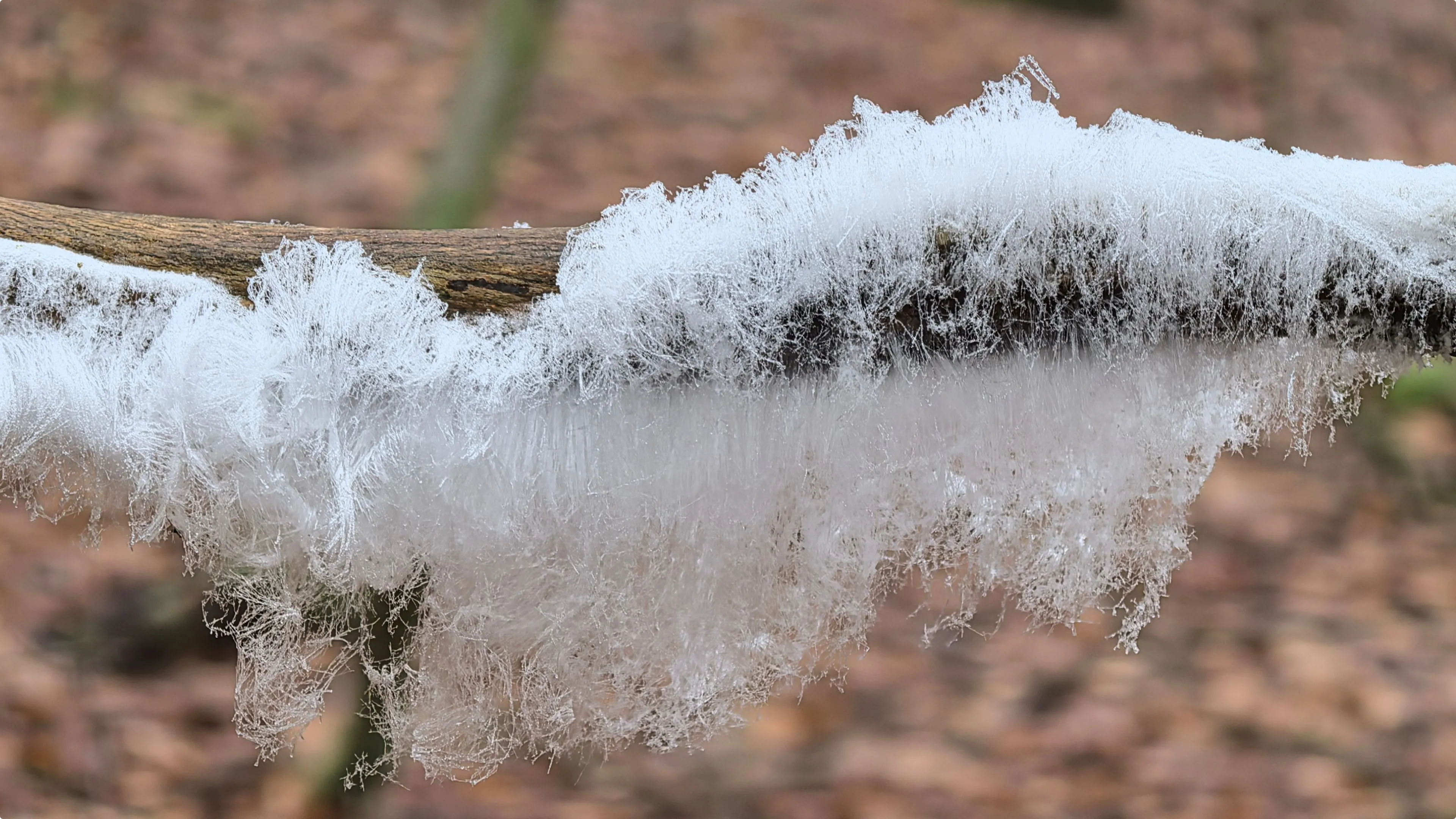 Renkum, foto: Ton de Brabander