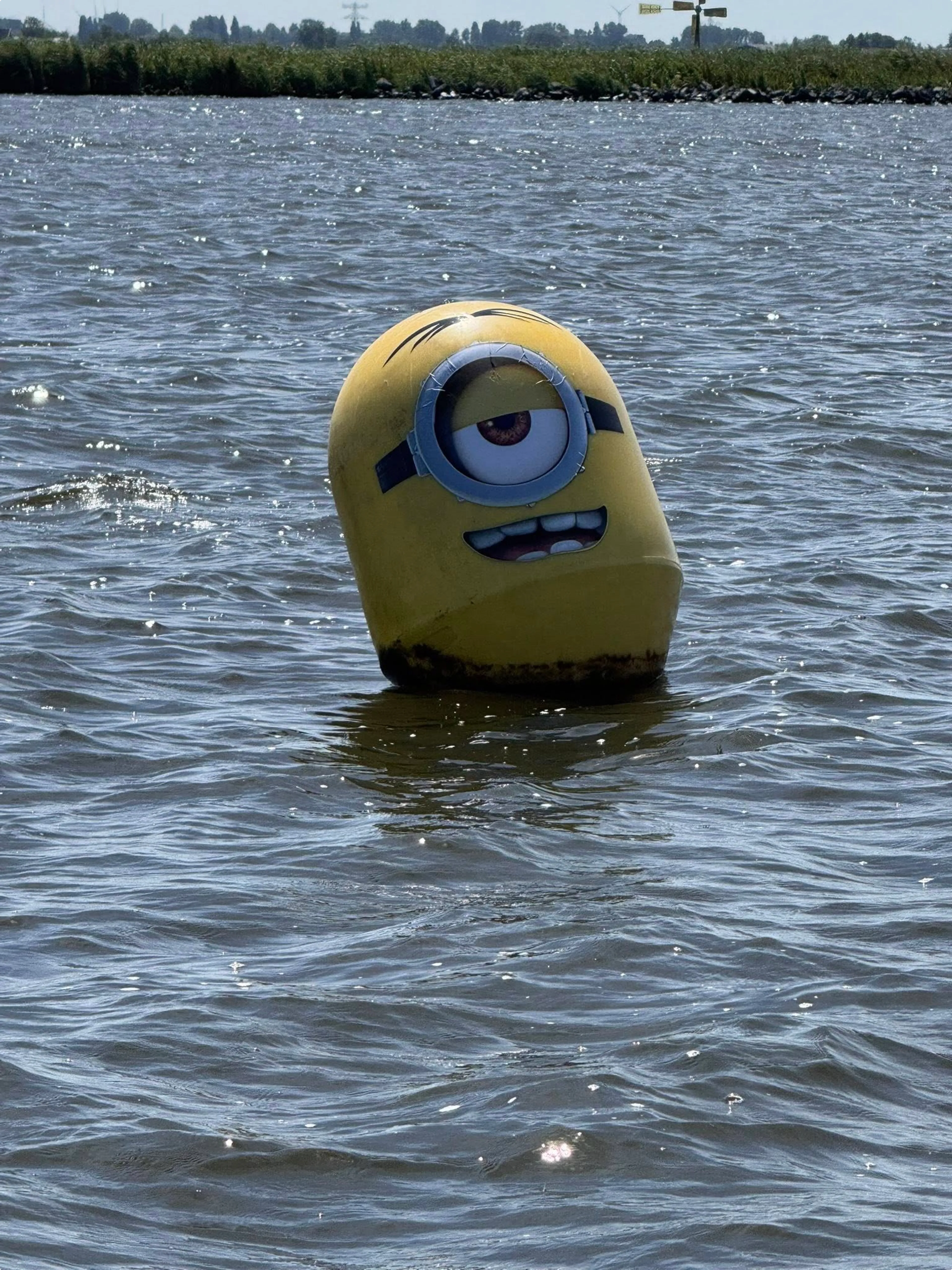 Ook deze Minion dobbert er vrolijk op los. Beeld: Bianca Ranzijn.