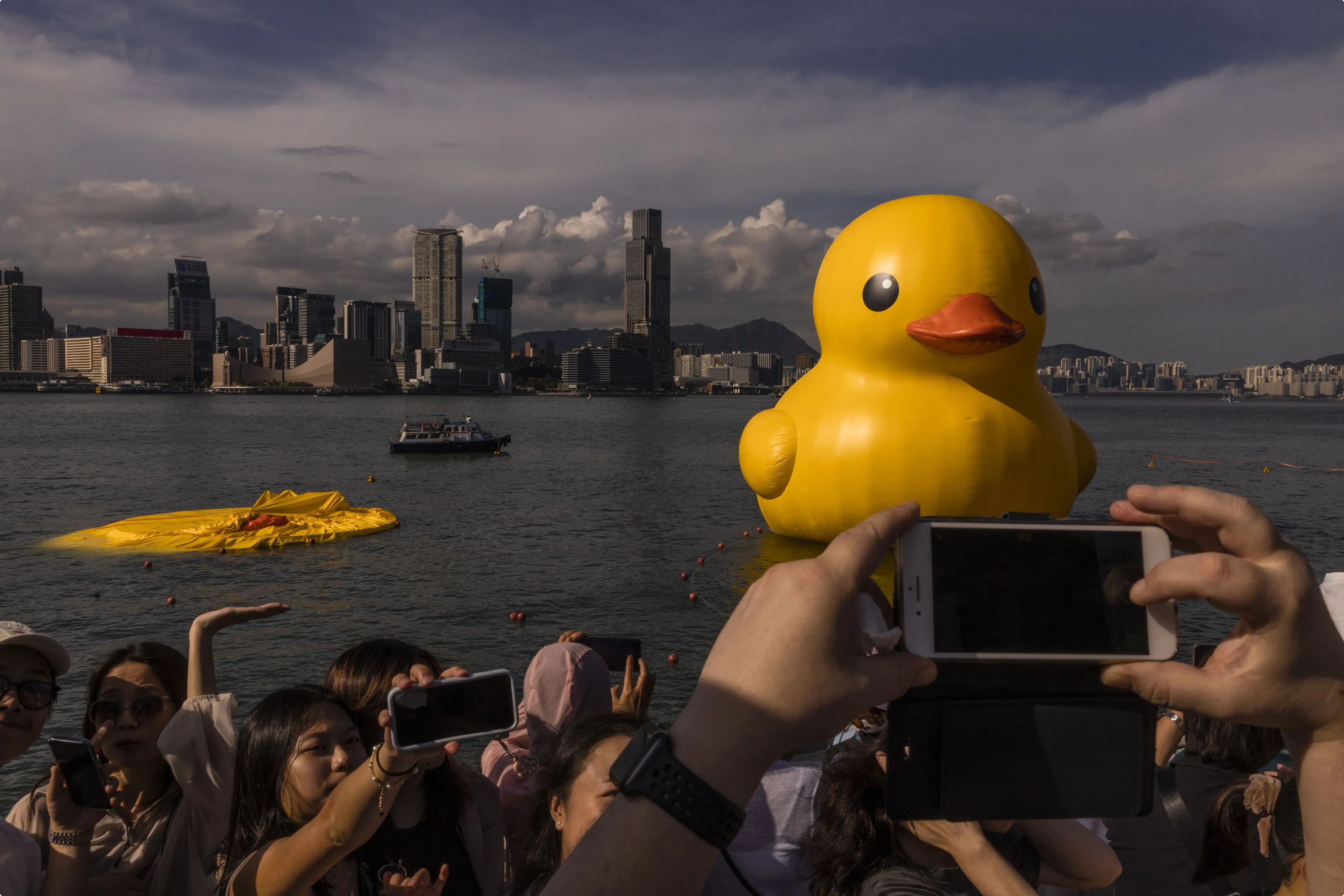 De badeenden in de Victoriahaven van Hongkong