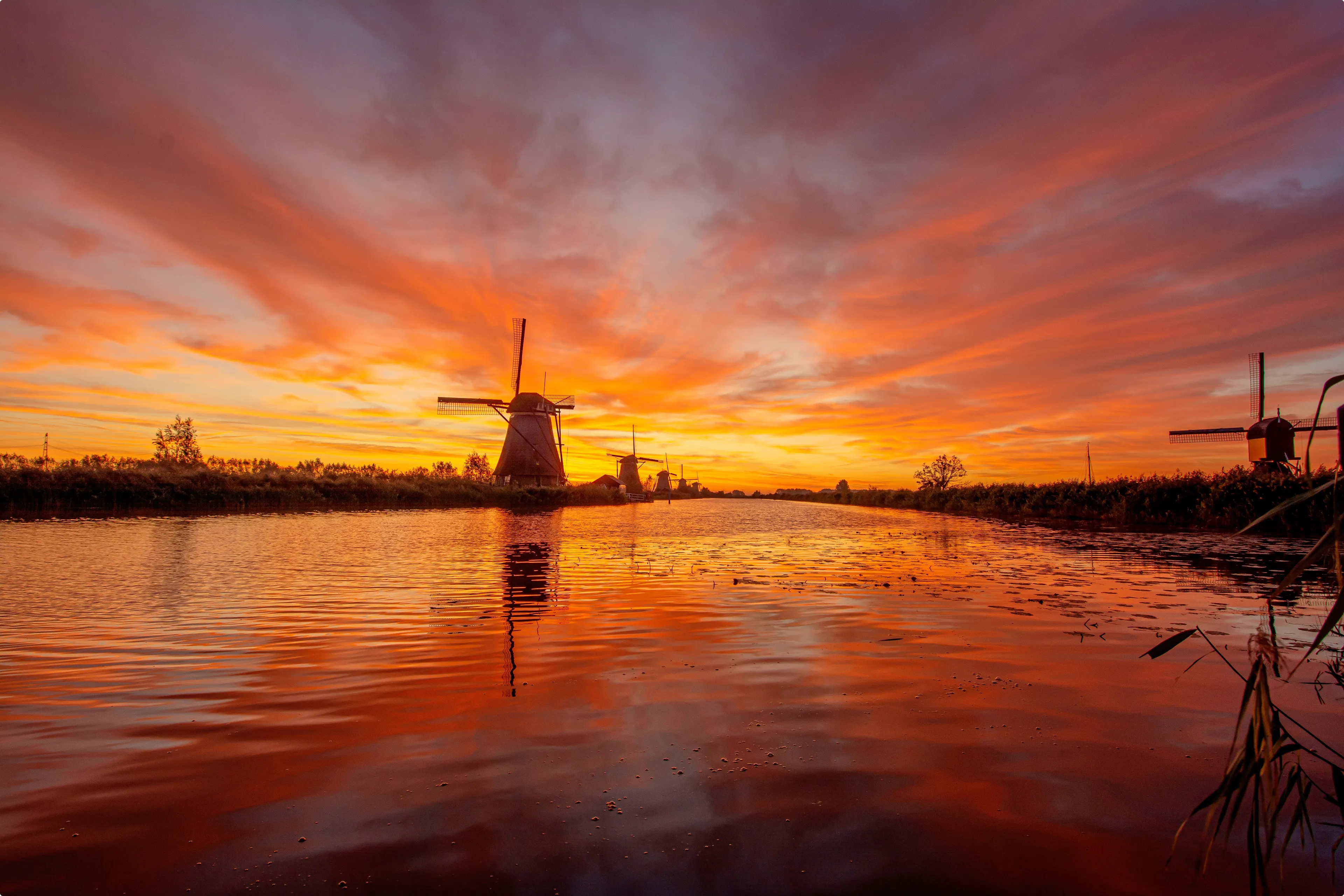Beeld: Wim van Bovenkamp, Kinderdijk